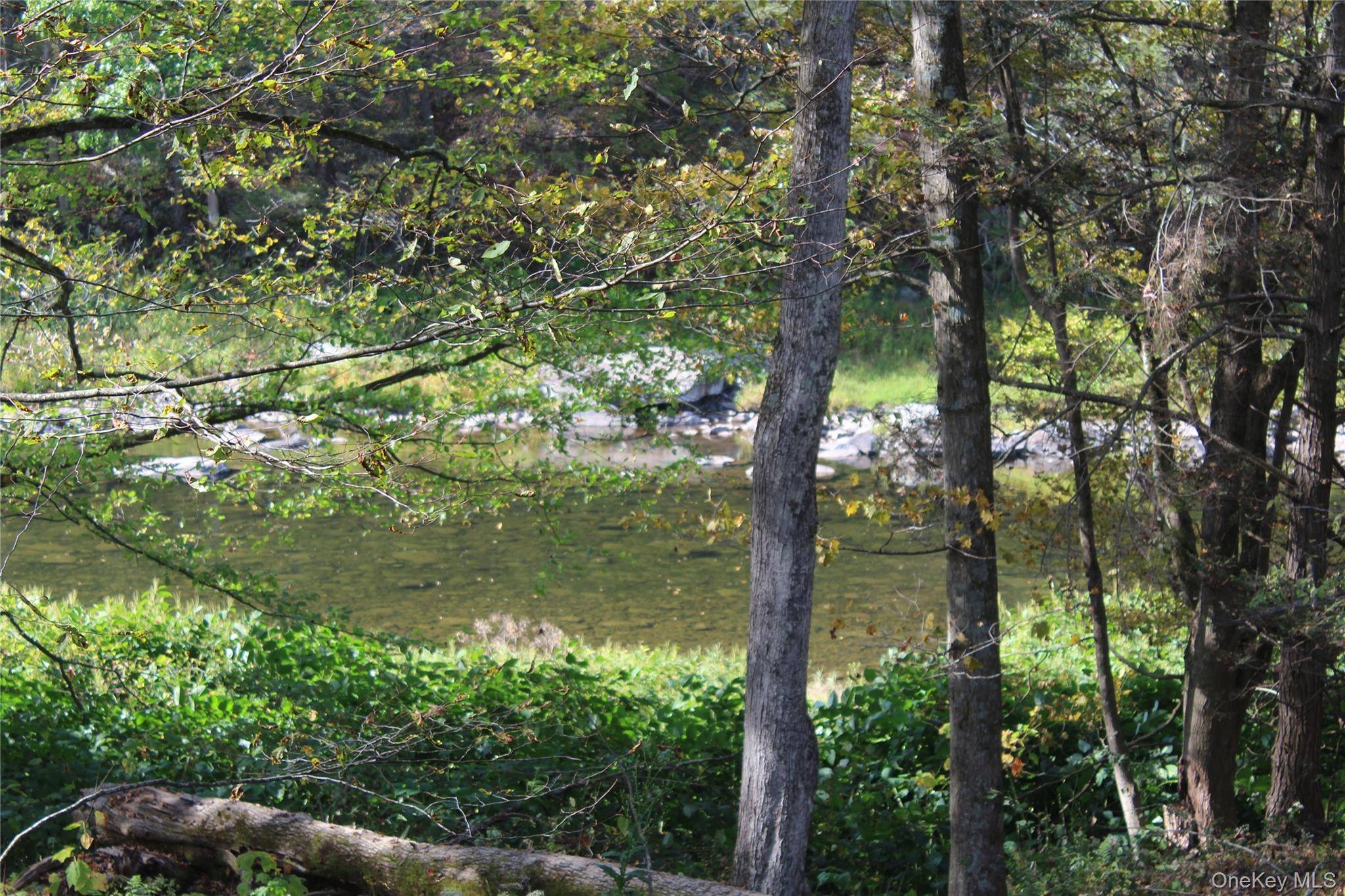 Peakville RD, Roscoe, NY 13783