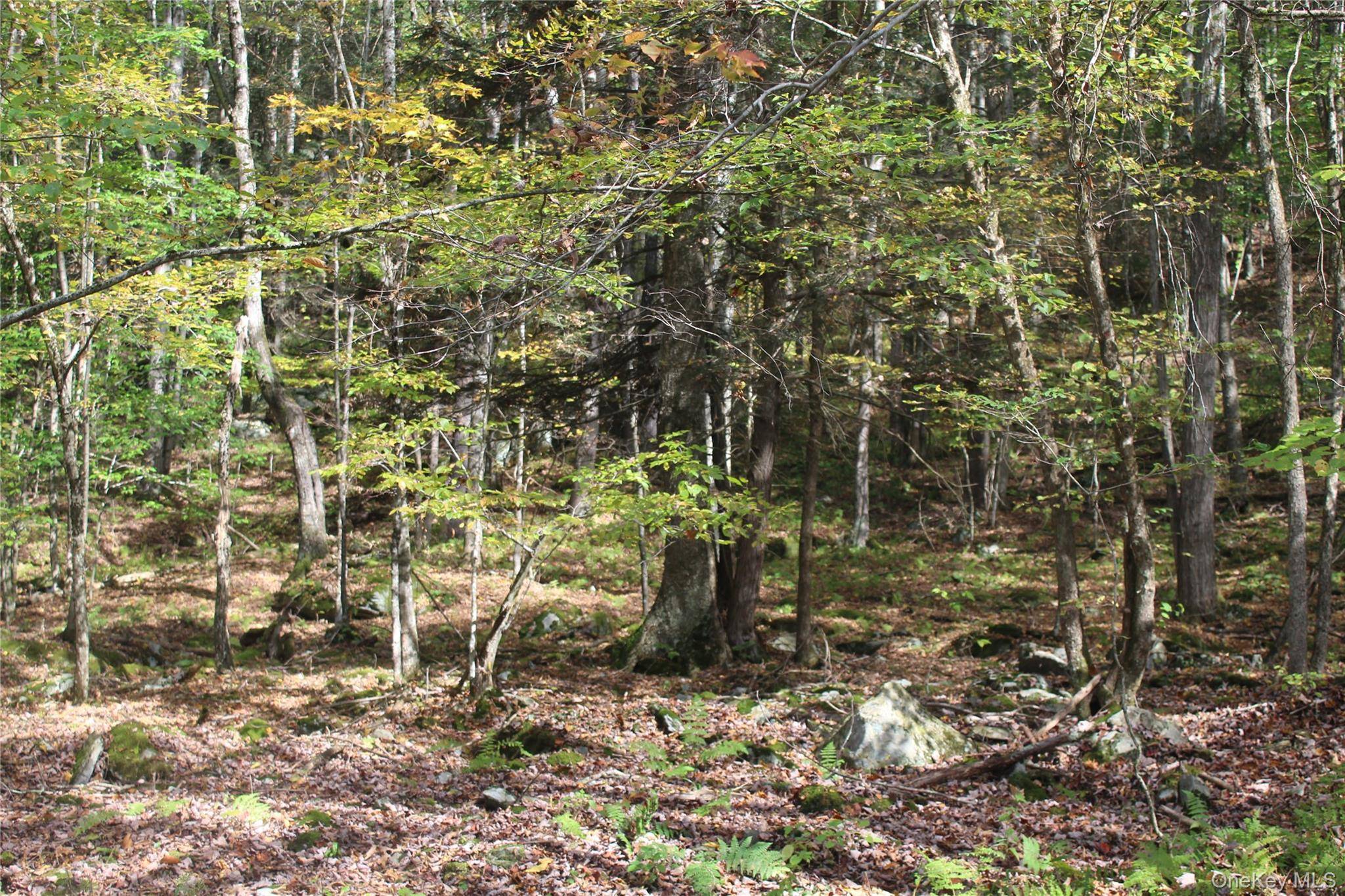 Peakville RD, Roscoe, NY 13783