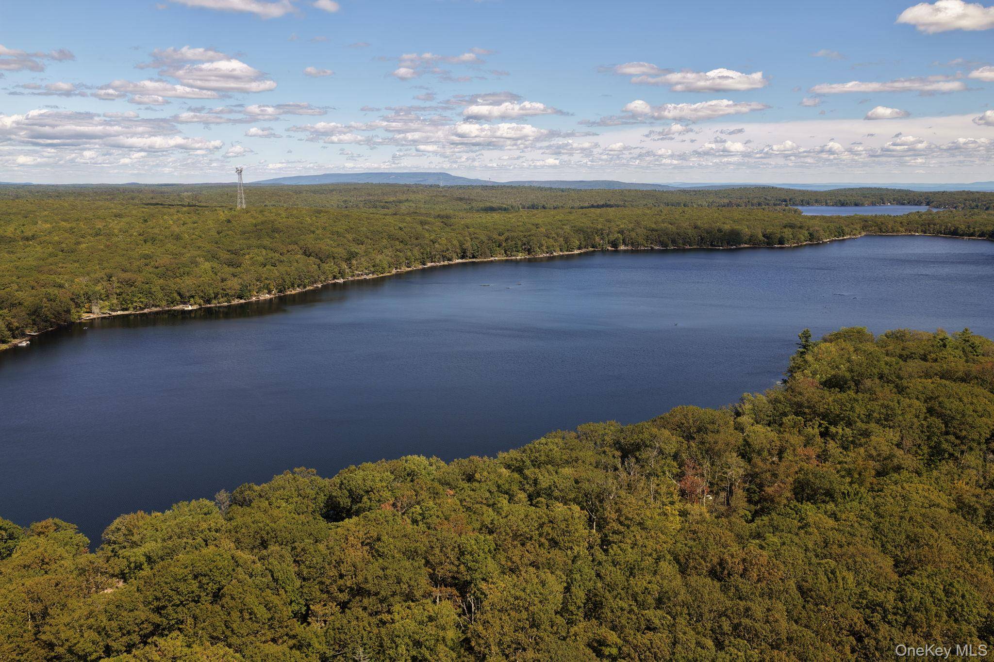 288 S Shore Shore DR, Wurtsboro, NY 12790