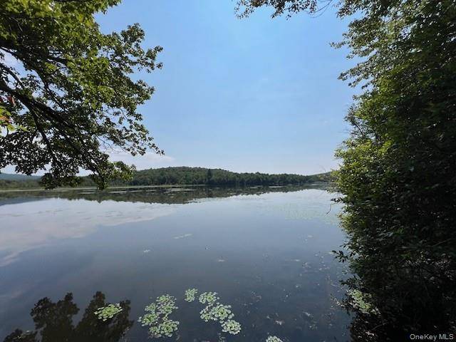 Lot 68 Shore RD, Swan Lake, NY 12783