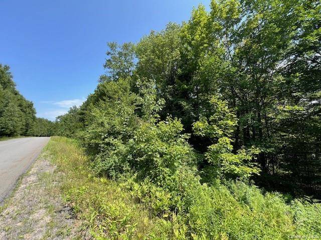 Lot 68 Shore RD, Swan Lake, NY 12783