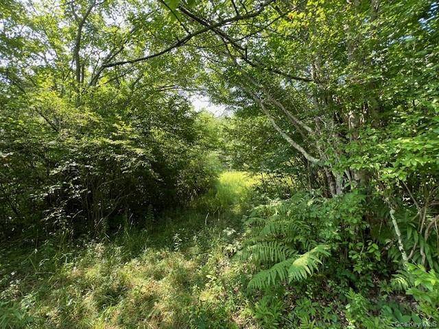 Lot 68 Shore RD, Swan Lake, NY 12783