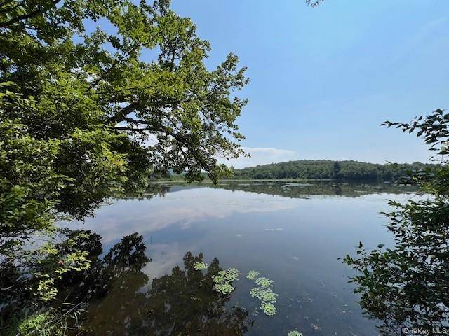 Lot 68 Shore RD, Swan Lake, NY 12783
