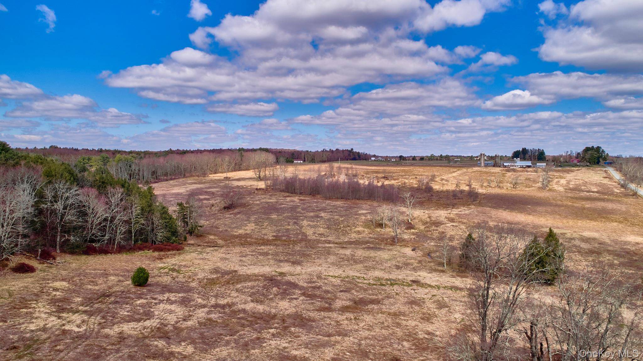 Lot 17.9 Shortcut Road, Cochecton, NY 12726