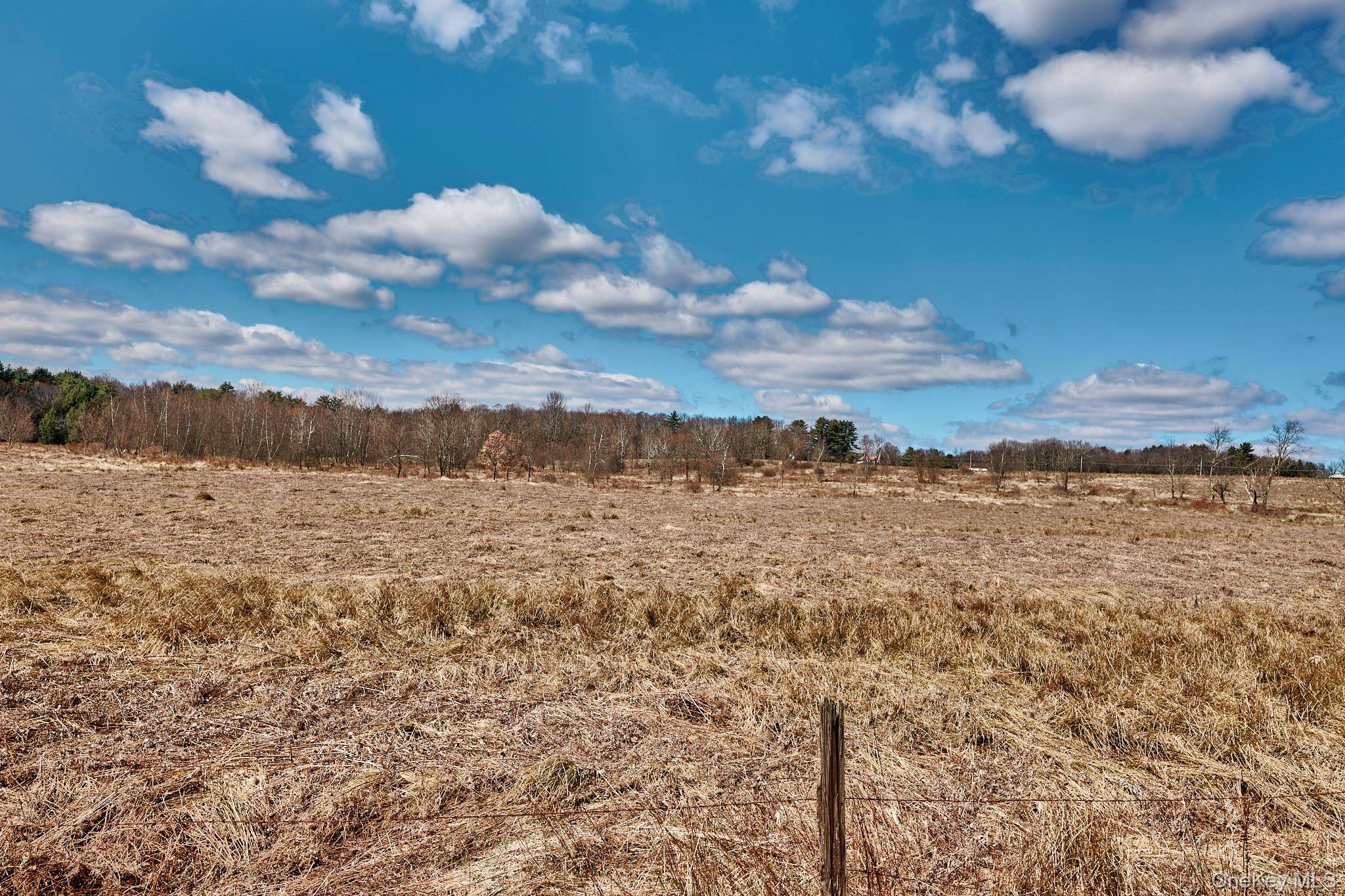 Lot 17.9 Shortcut Road, Cochecton, NY 12726
