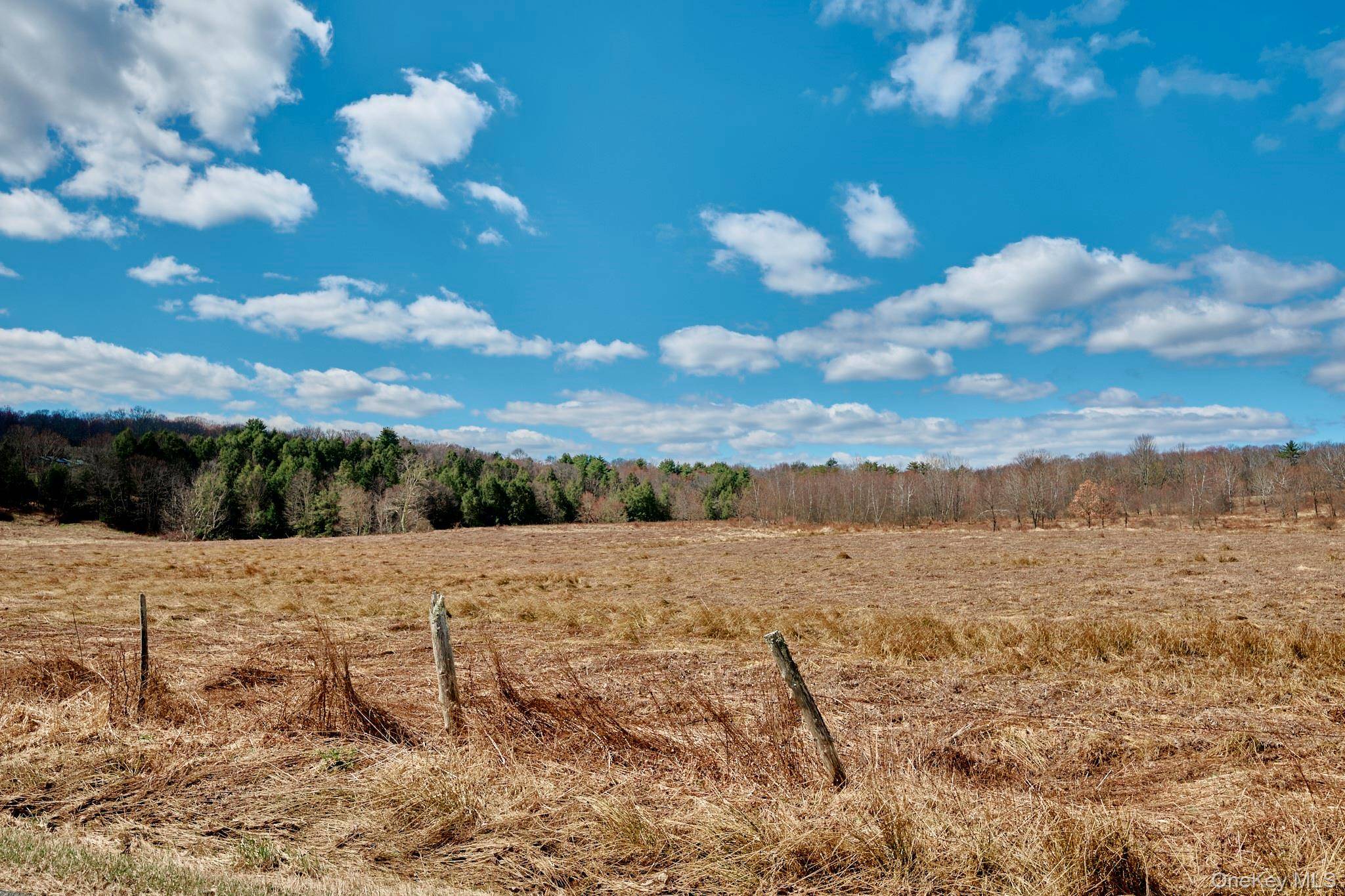 Lot 17.9 Shortcut Road, Cochecton, NY 12726