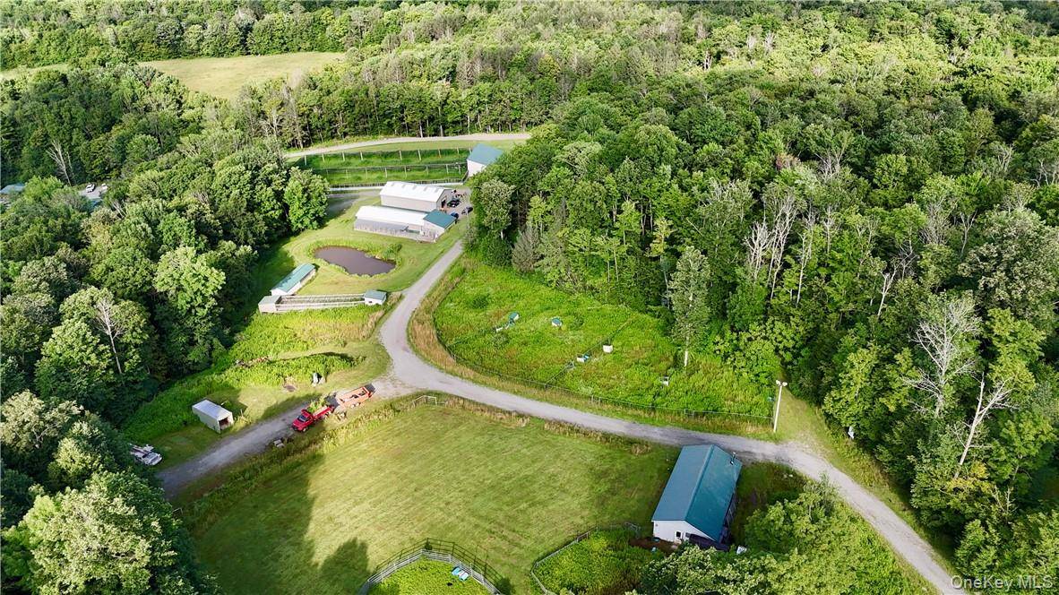 374 Neer RD, Long Eddy, NY 12760