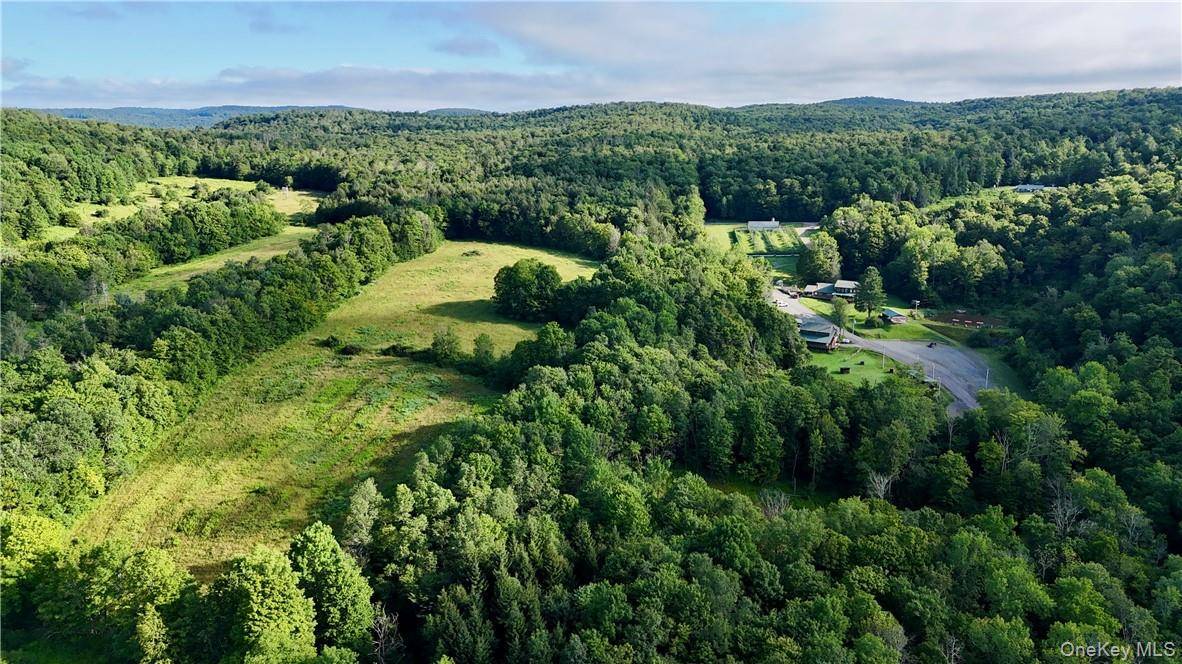 374 Neer RD, Long Eddy, NY 12760
