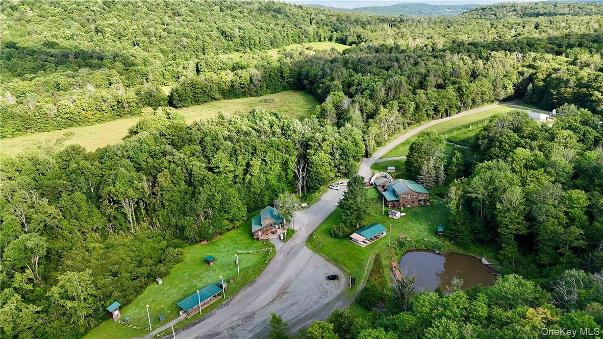 374 Neer RD, Long Eddy, NY 12760