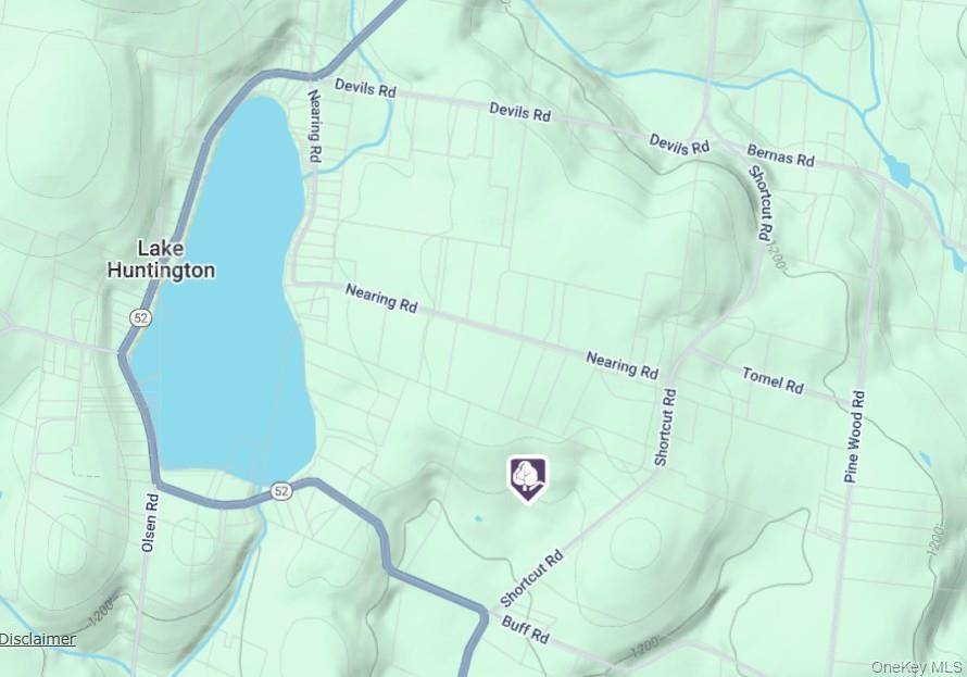 NY-52&Shortcut Rd akaT R 43, Cochecton, NY 12726