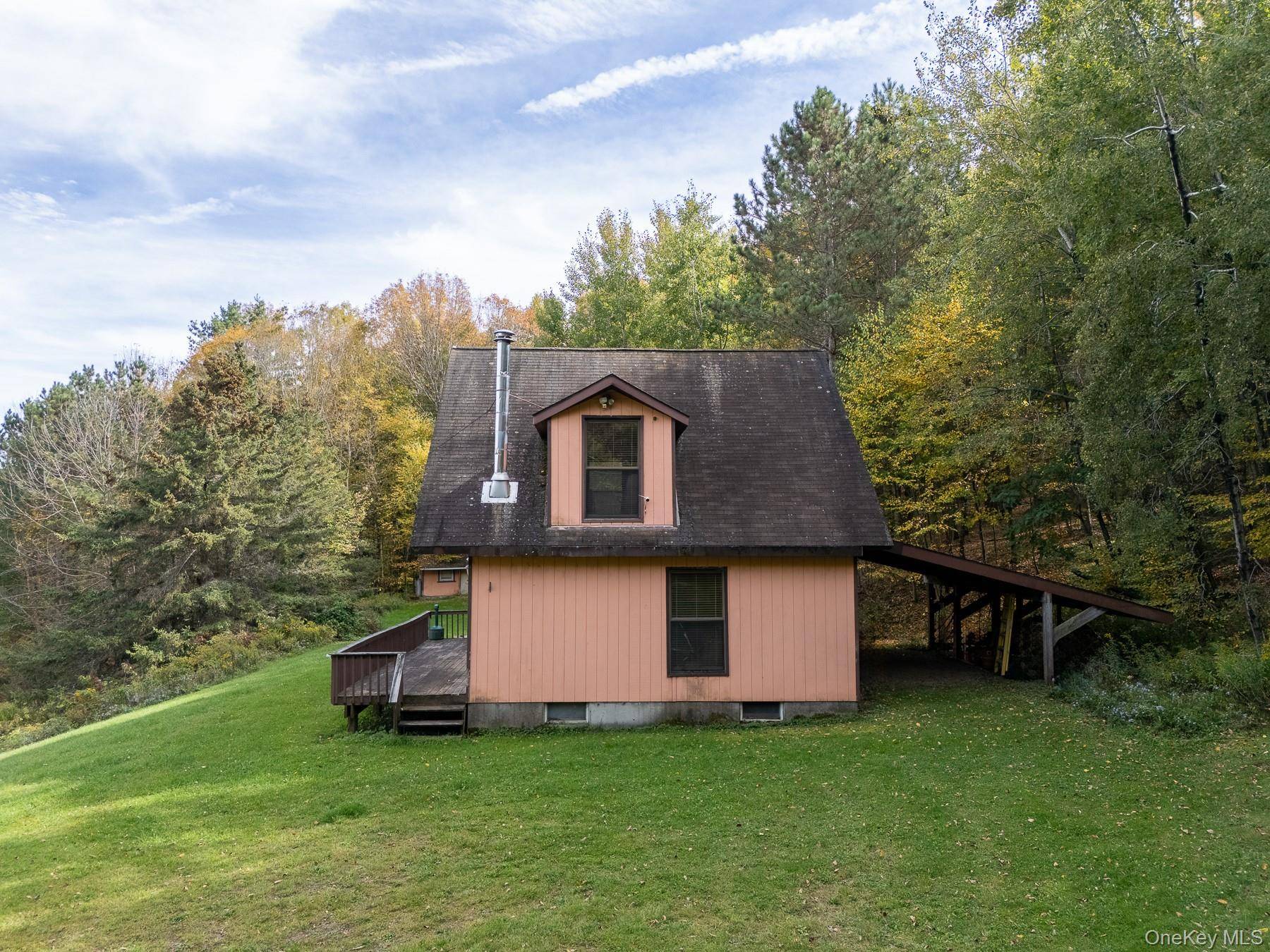 515 Magic Mountain RD, Bloomville, NY 13739
