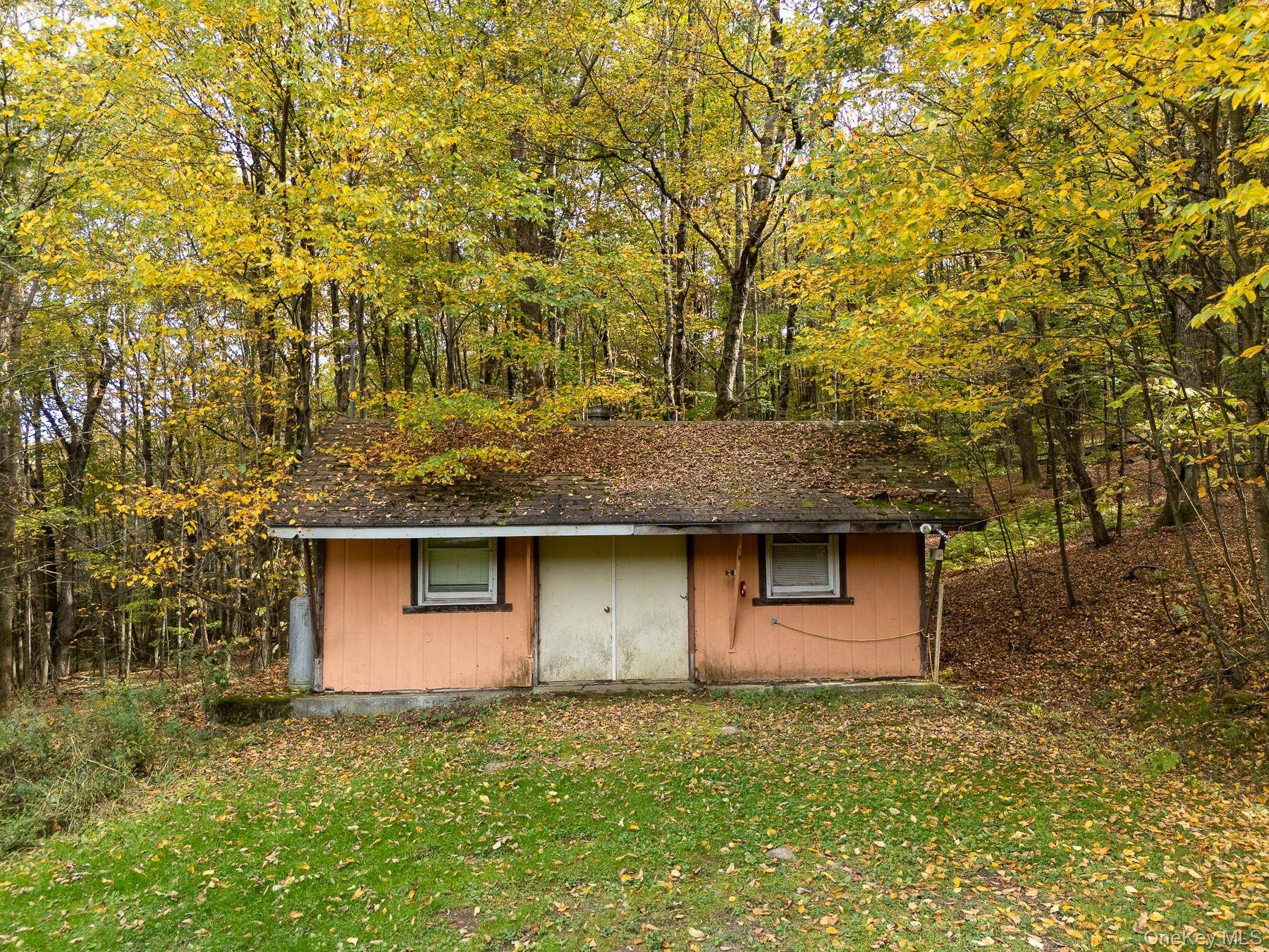 515 Magic Mountain RD, Bloomville, NY 13739