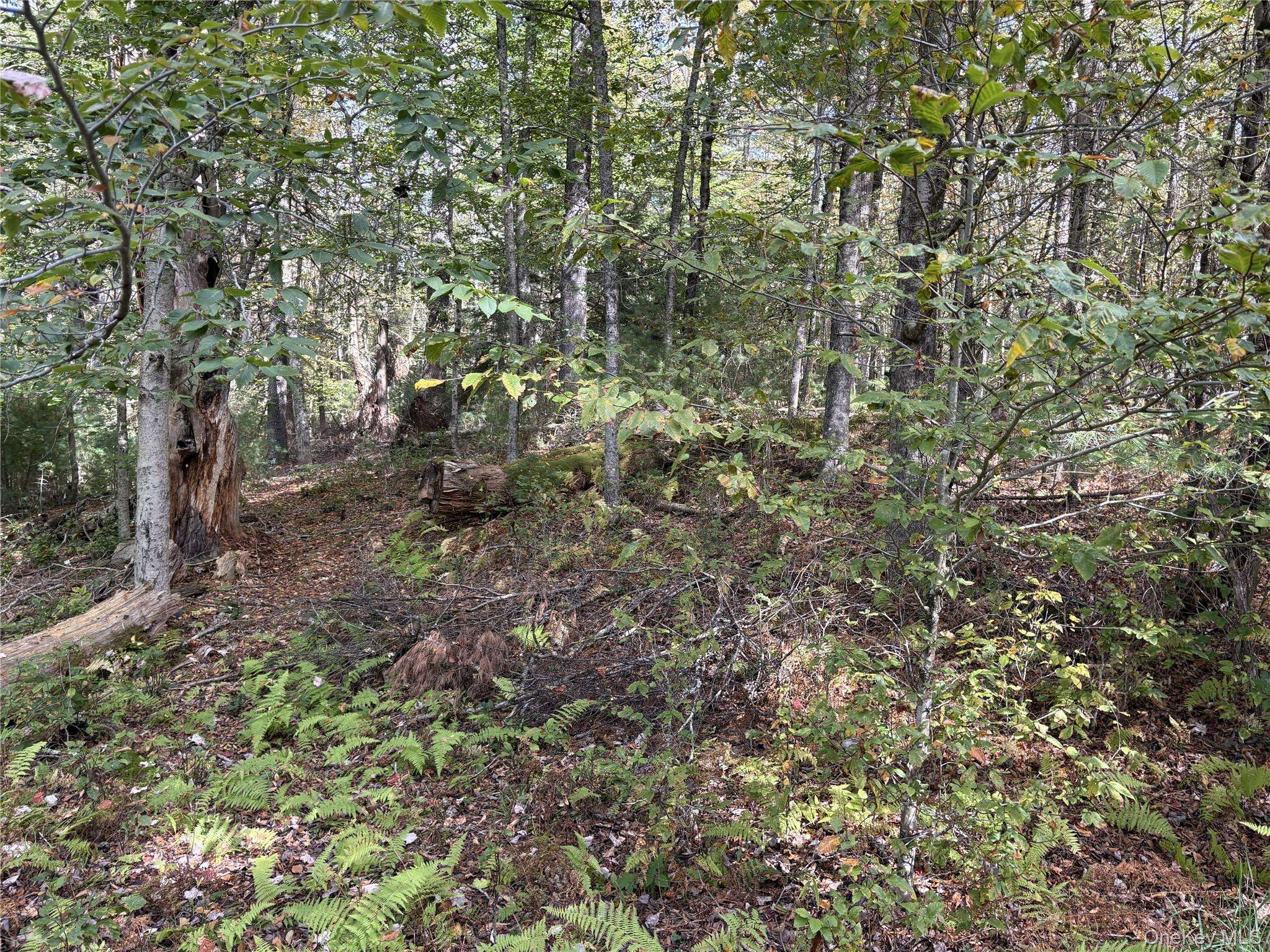 17 Lot 17 Desmond Crossing, Bethel, NY 12720