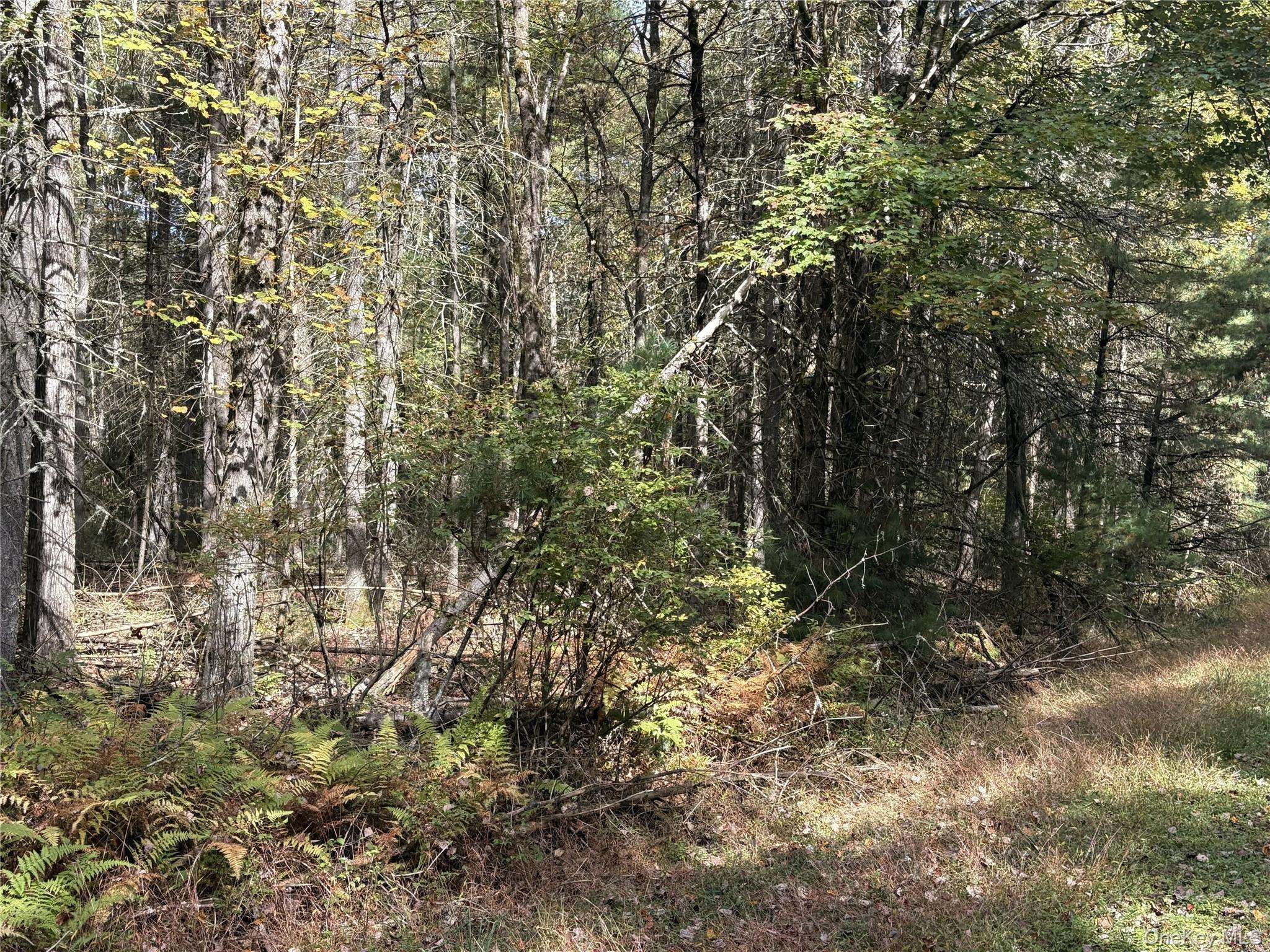 17 Lot 17 Desmond Crossing, Bethel, NY 12720