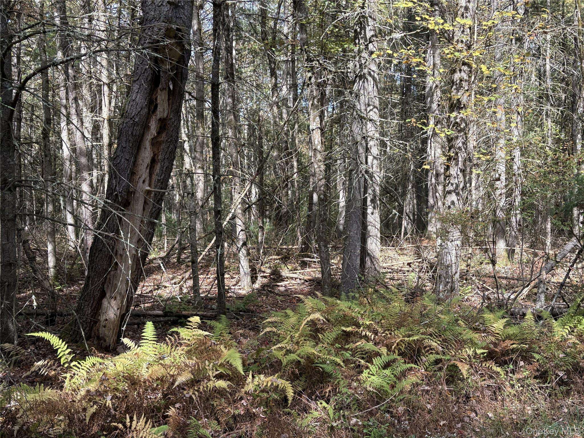 17 Lot 17 Desmond Crossing, Bethel, NY 12720