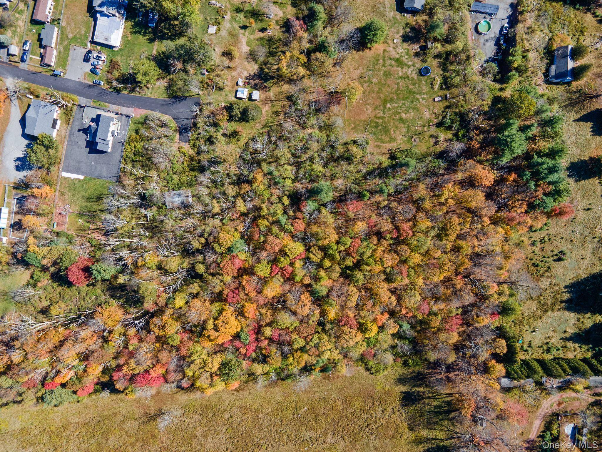 Highland AVE, Monticello, NY 12701