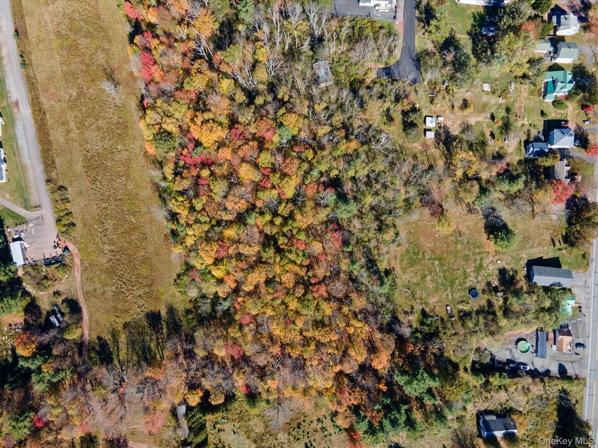 Highland AVE, Monticello, NY 12701