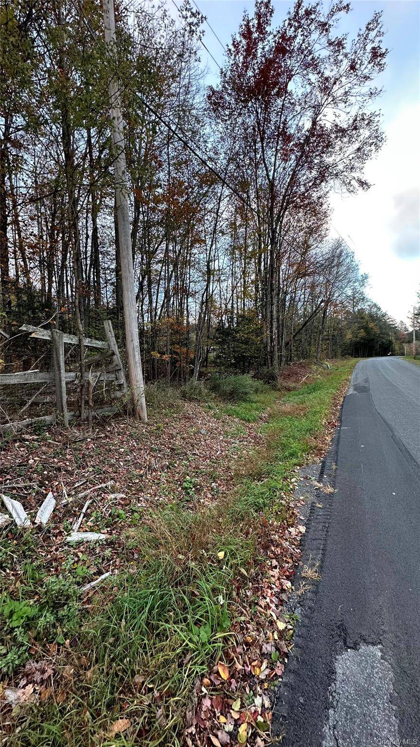 TBD Hysana RD, Fallsburg, NY 12733