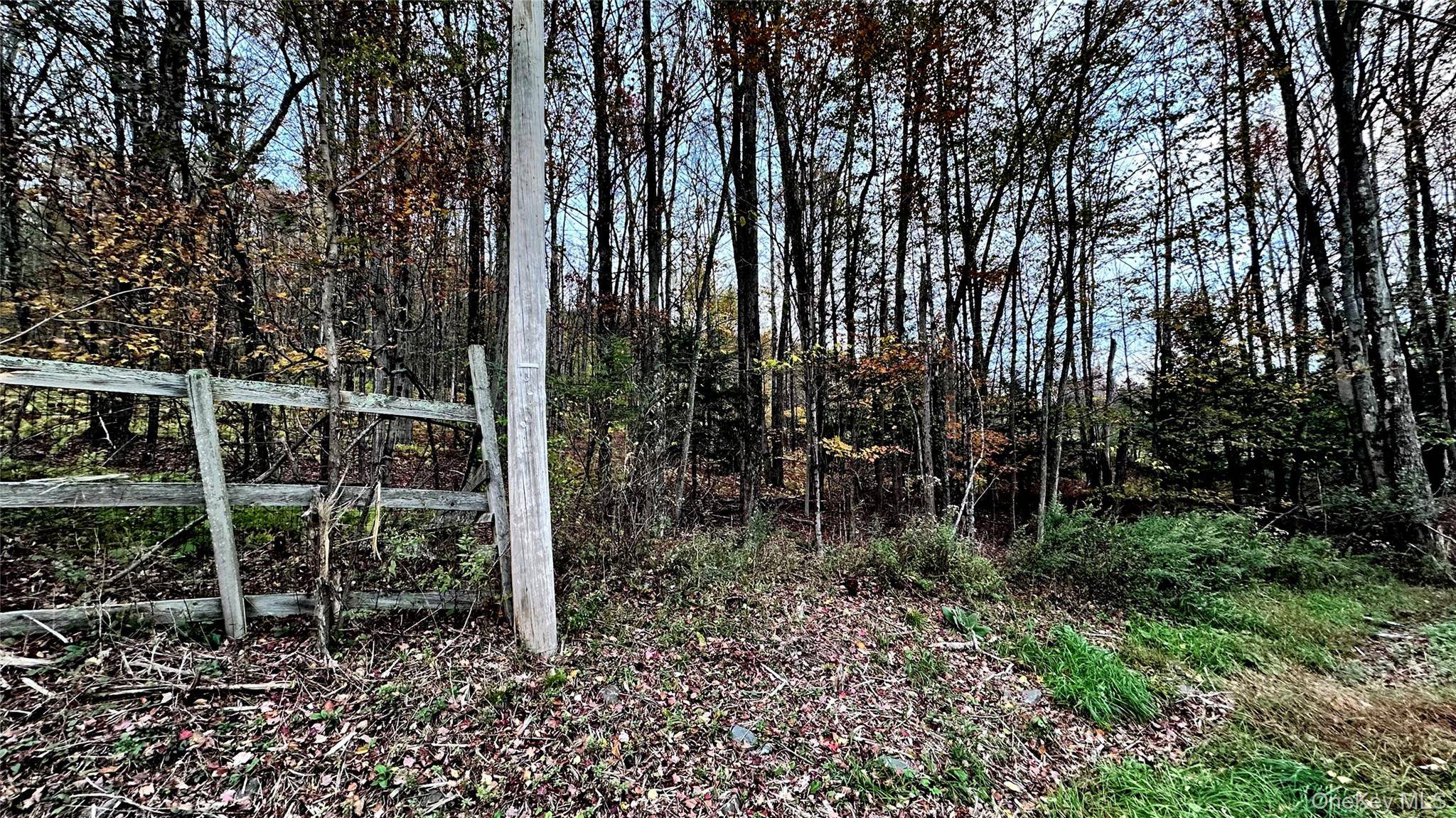 TBD Hysana RD, Fallsburg, NY 12733