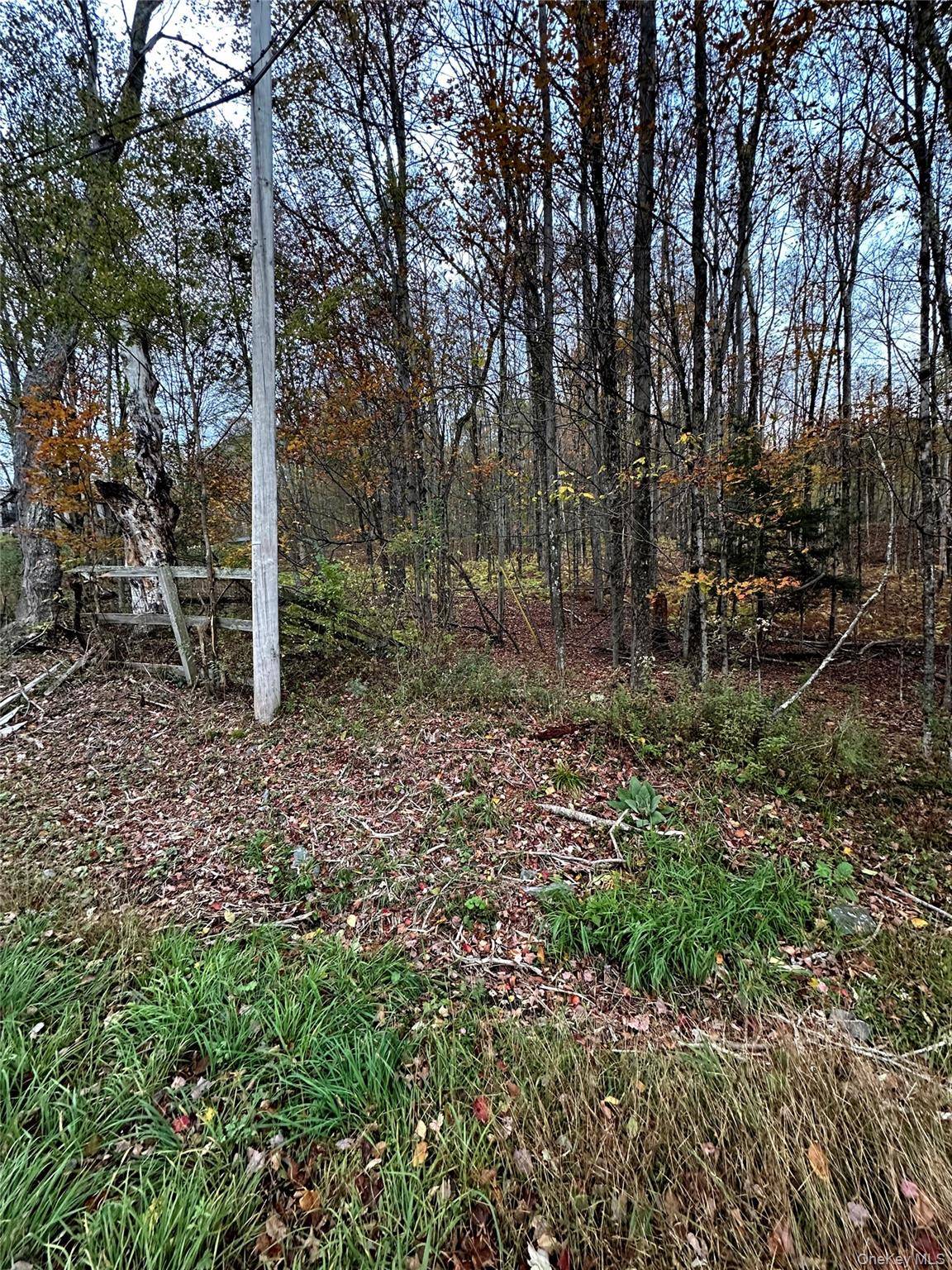 TBD Hysana RD, Fallsburg, NY 12733