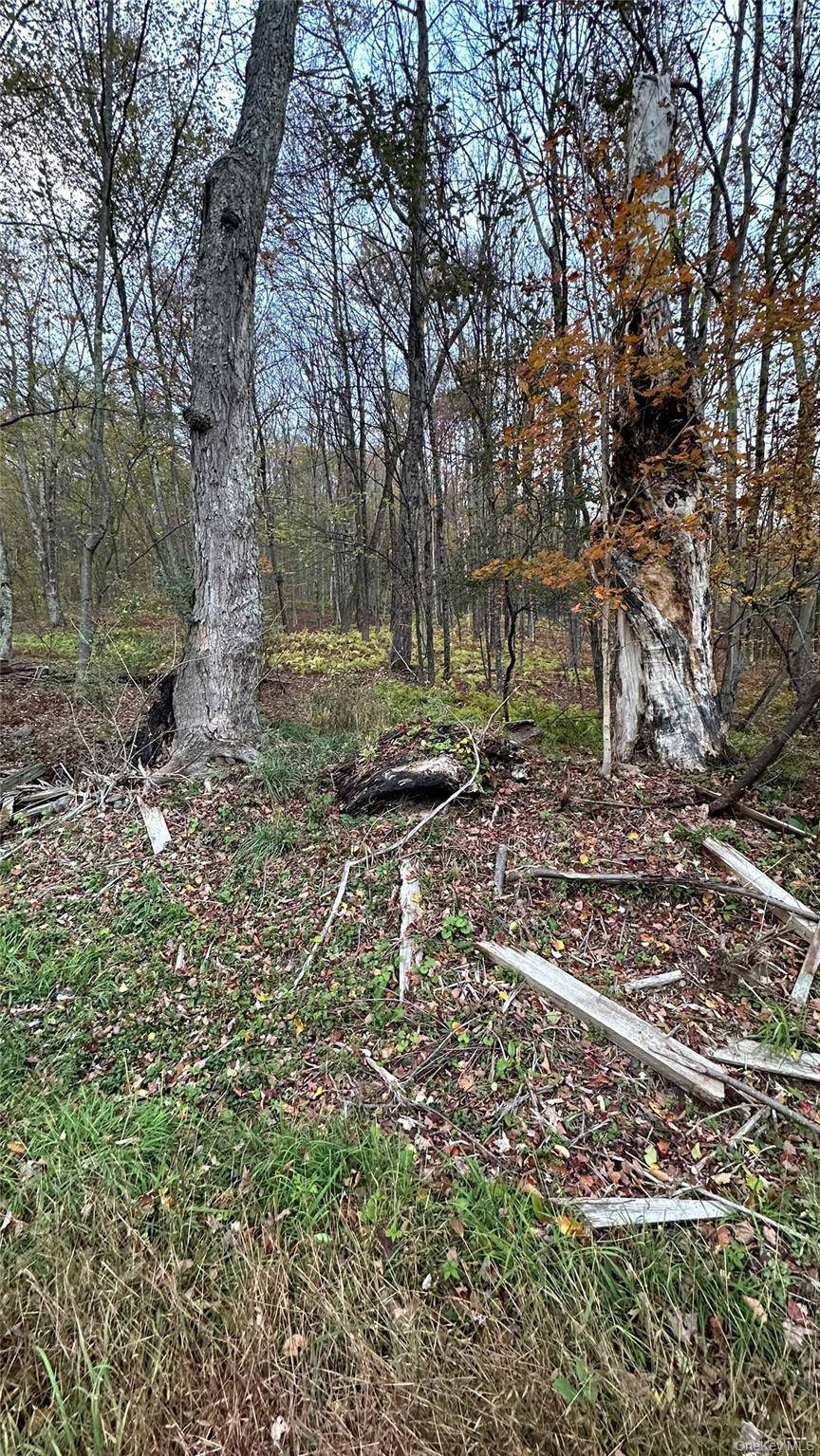 TBD Hysana RD, Fallsburg, NY 12733