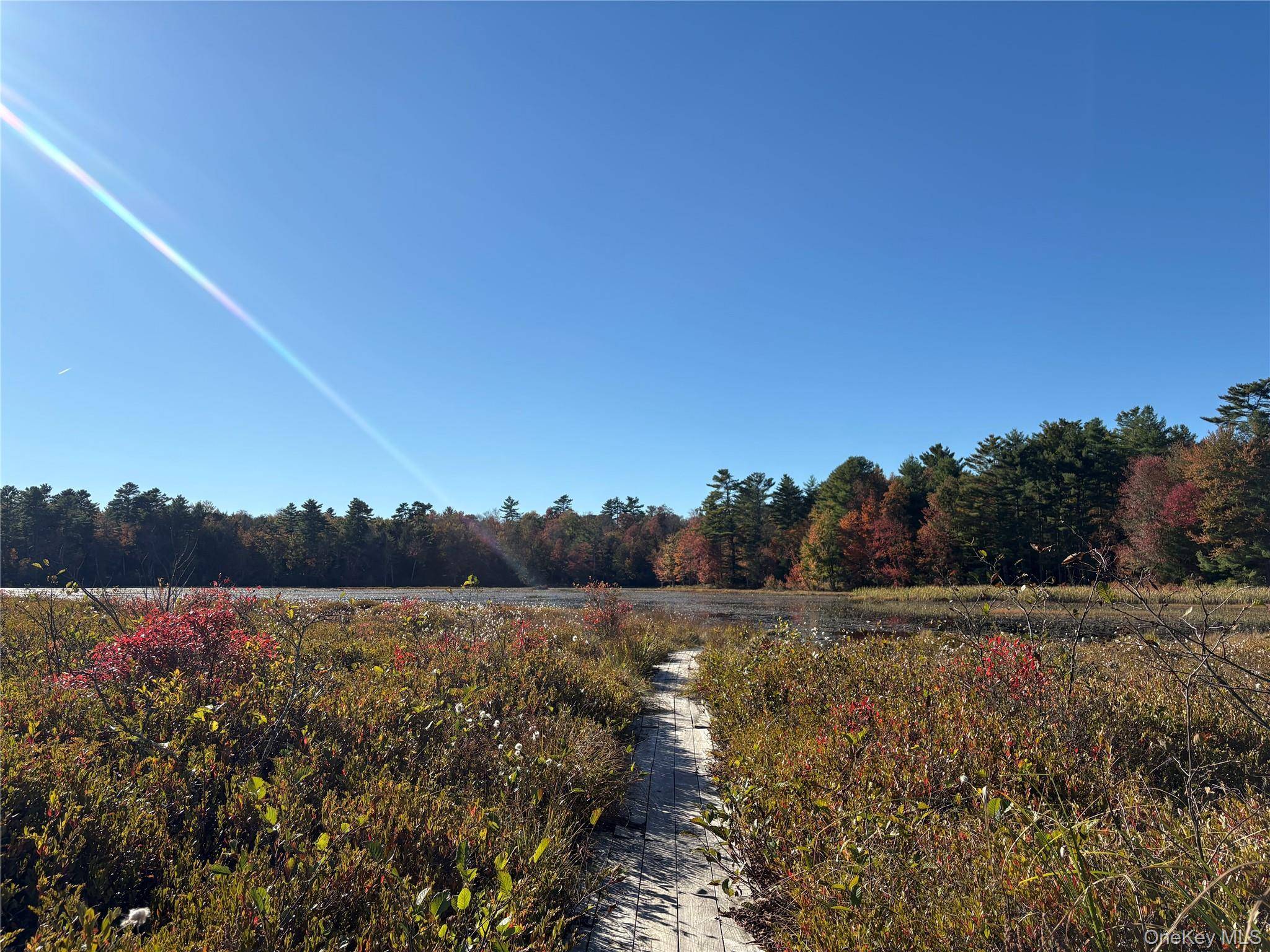 Lot 4 Deer Meadow Road, White Lake, NY 12786