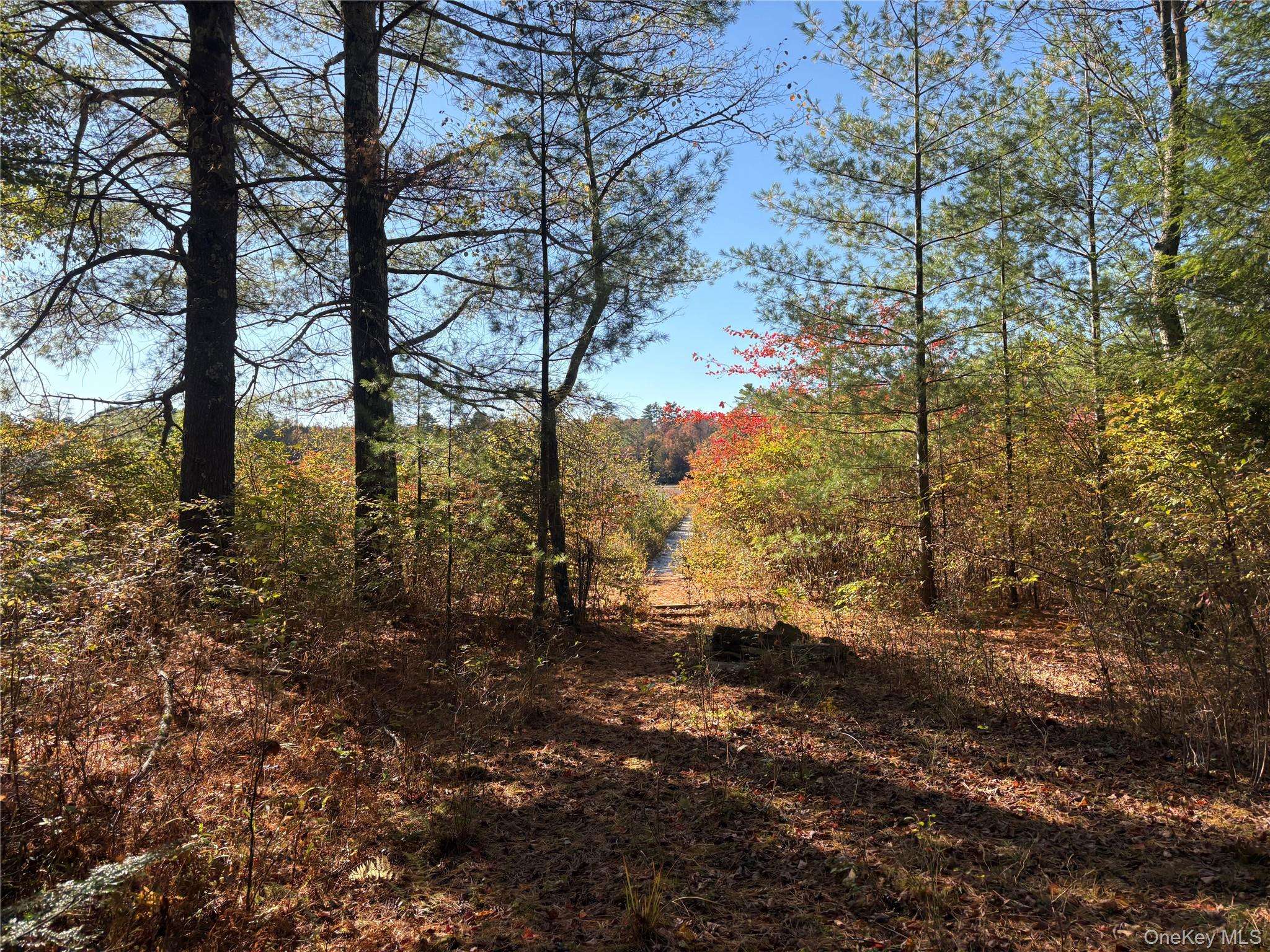 Lot 4 Deer Meadow Road, White Lake, NY 12786