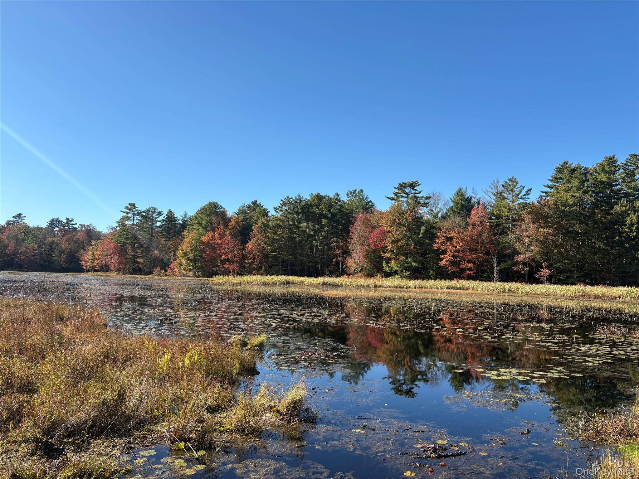 Lot 4 Deer Meadow Road, White Lake, NY 12786