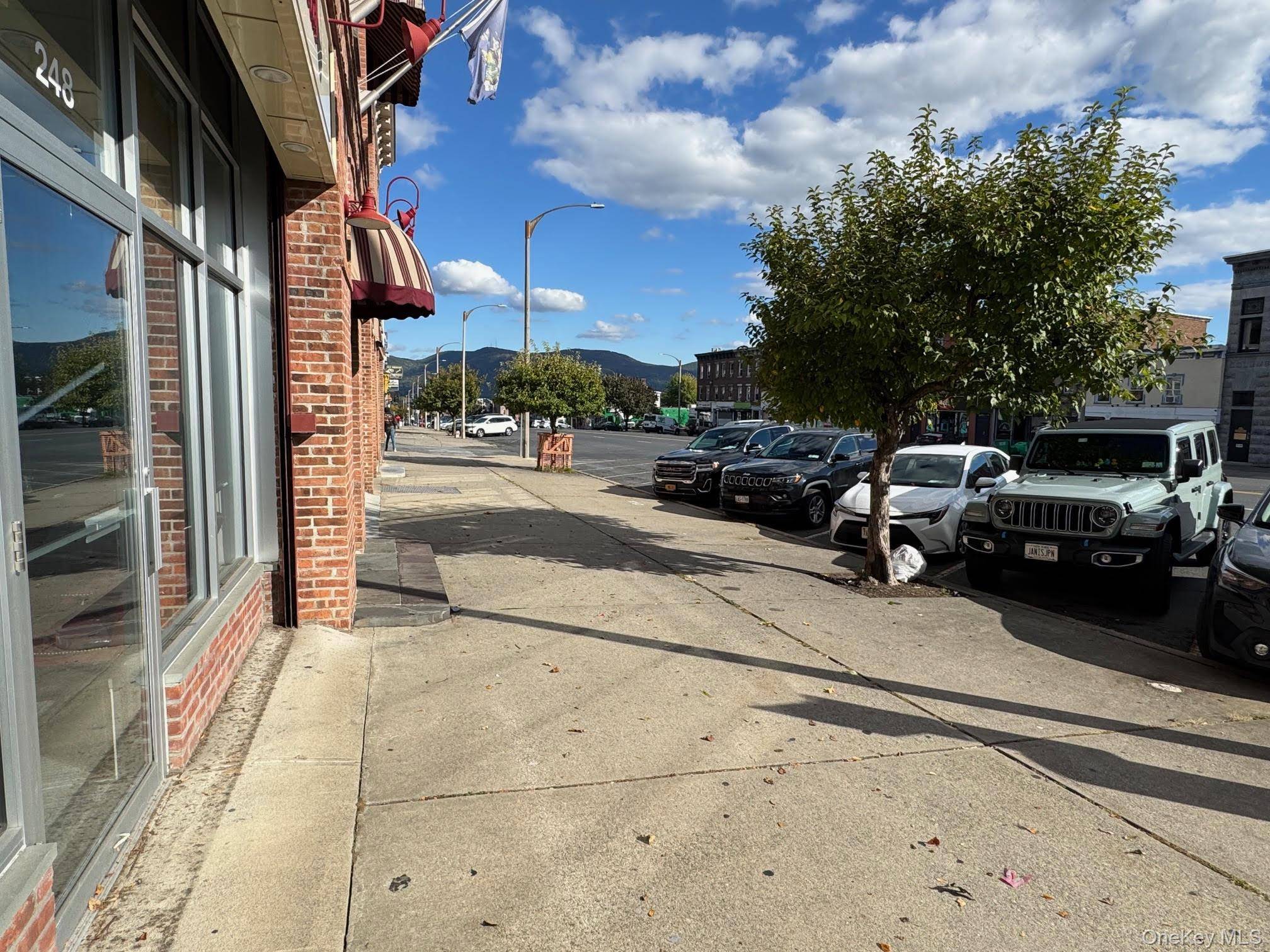 244 Broadway, Newburgh, NY 12550