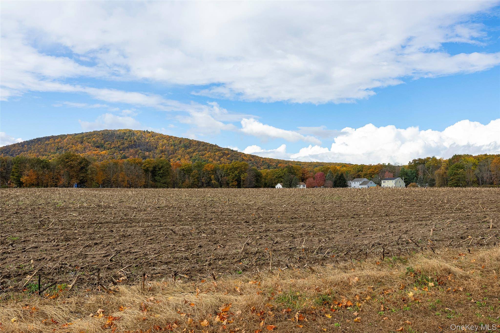 82 Lake RD, Pine Plains, NY 12567