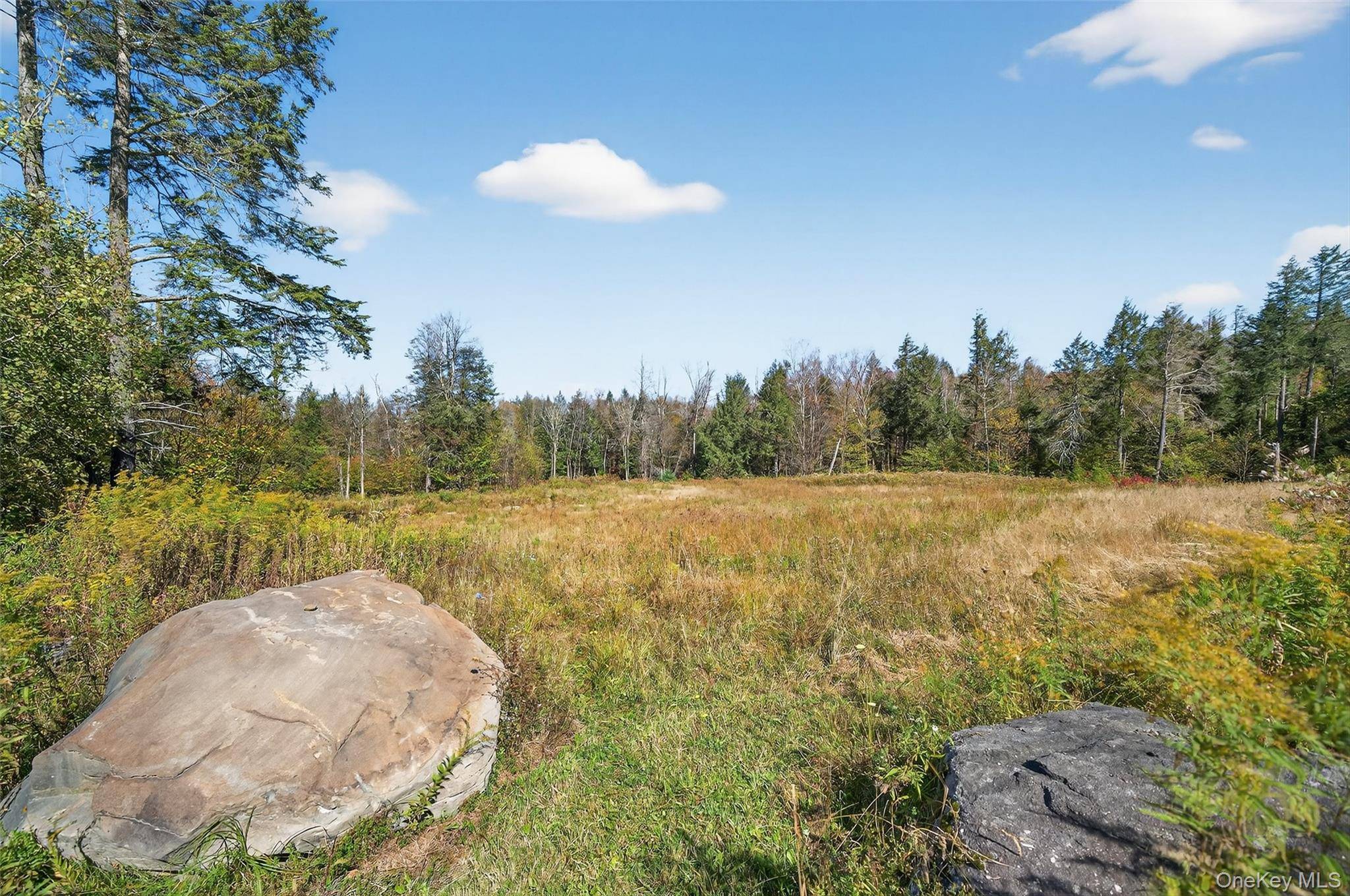 TBD Black Bear XING, Parksville, NY 12768