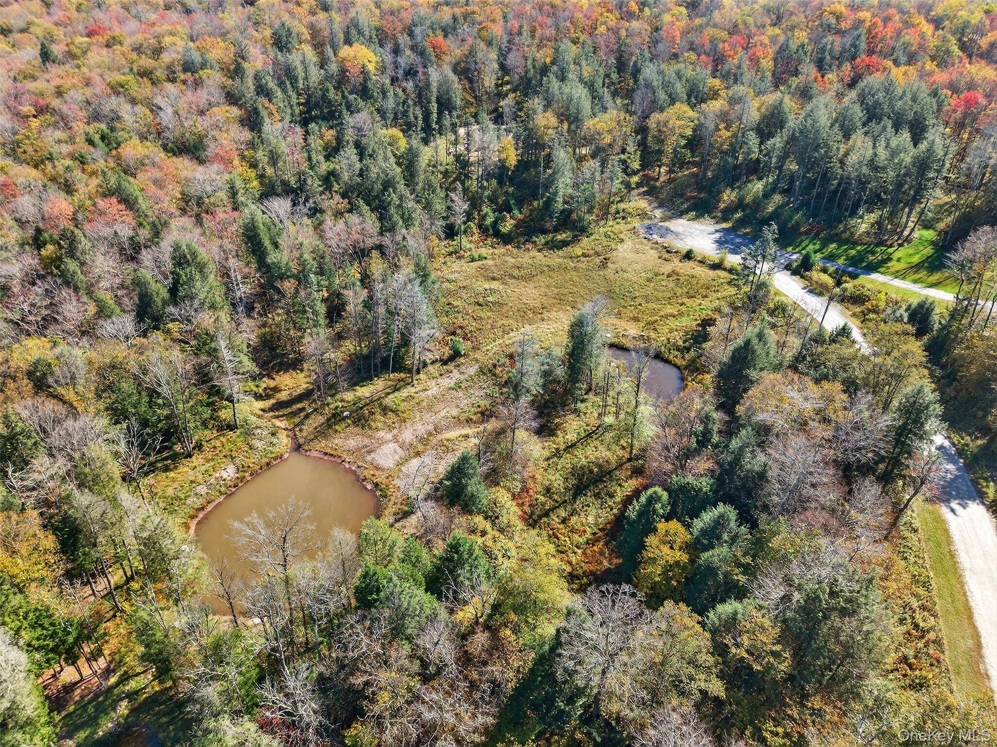 TBD Black Bear XING, Parksville, NY 12768