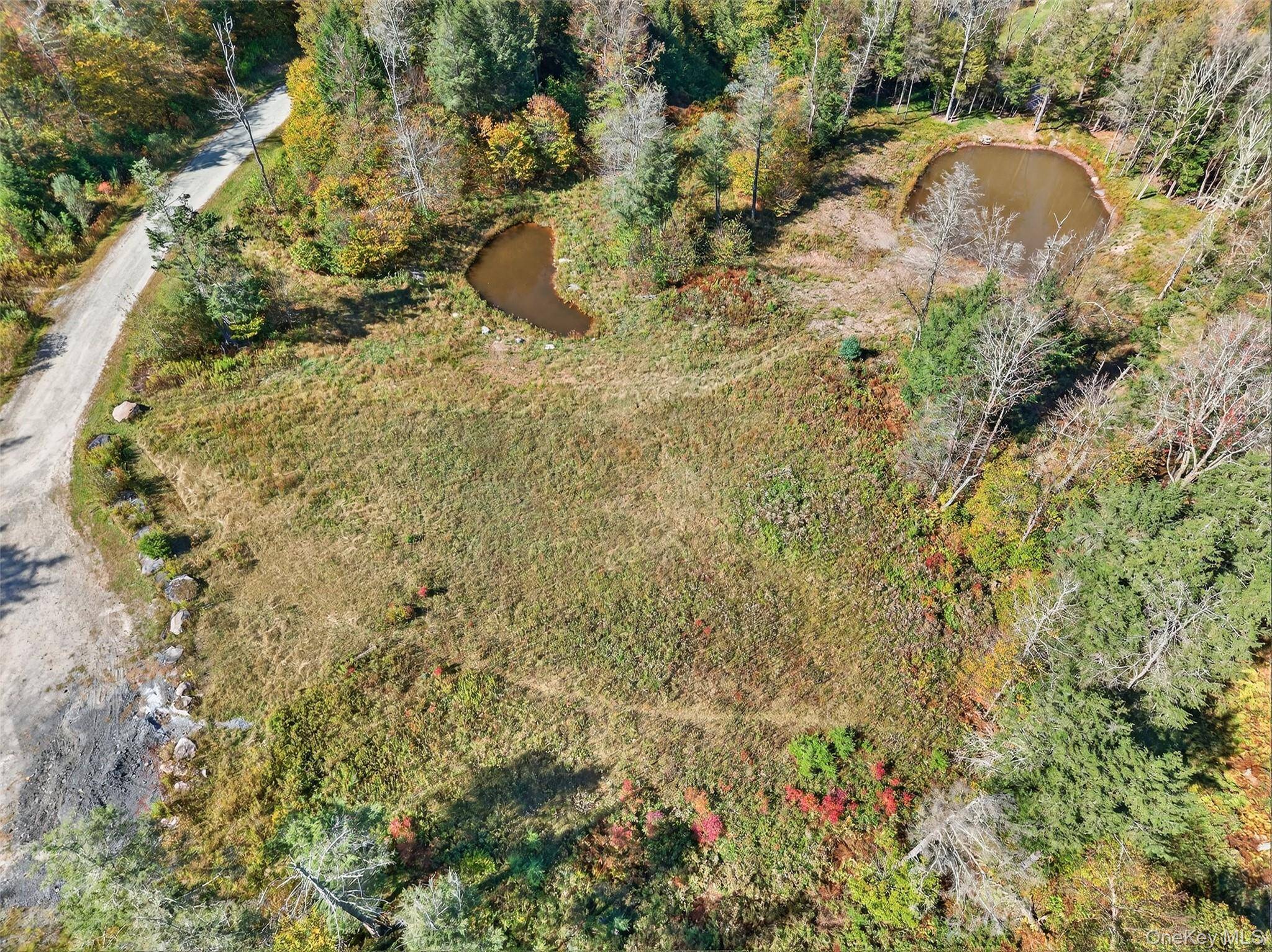 TBD Black Bear XING, Parksville, NY 12768