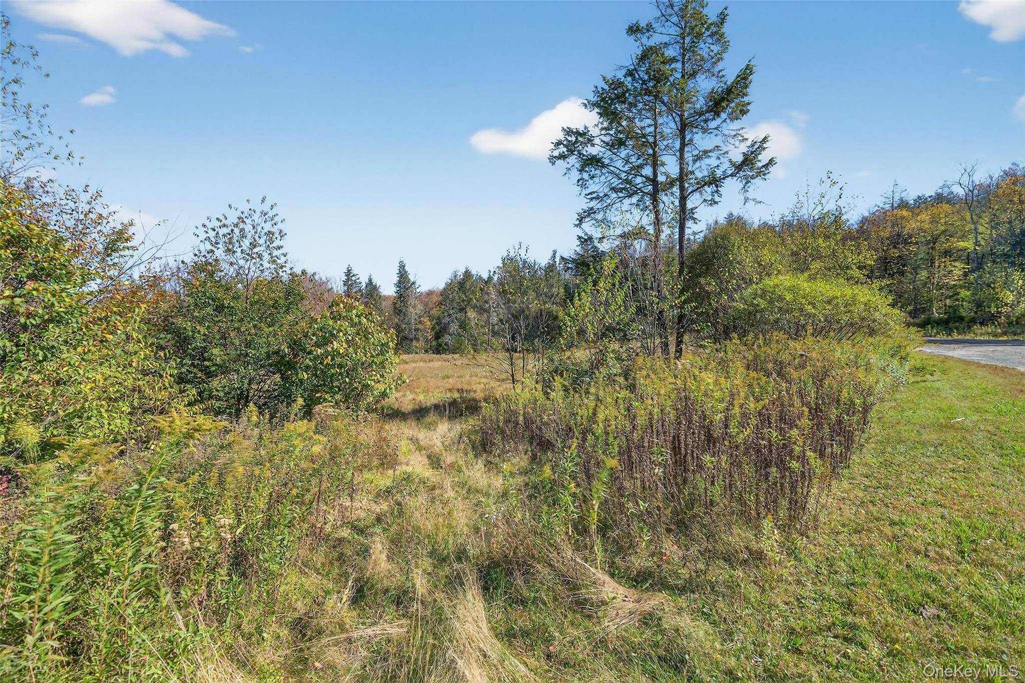 TBD Black Bear XING, Parksville, NY 12768