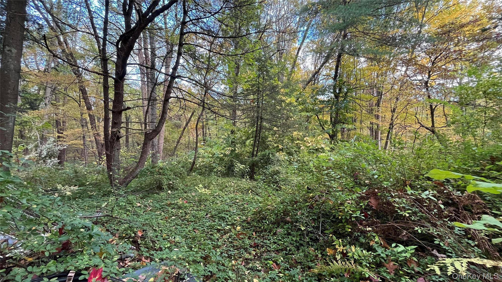 407 Swartekill RD, Highland, NY 12528