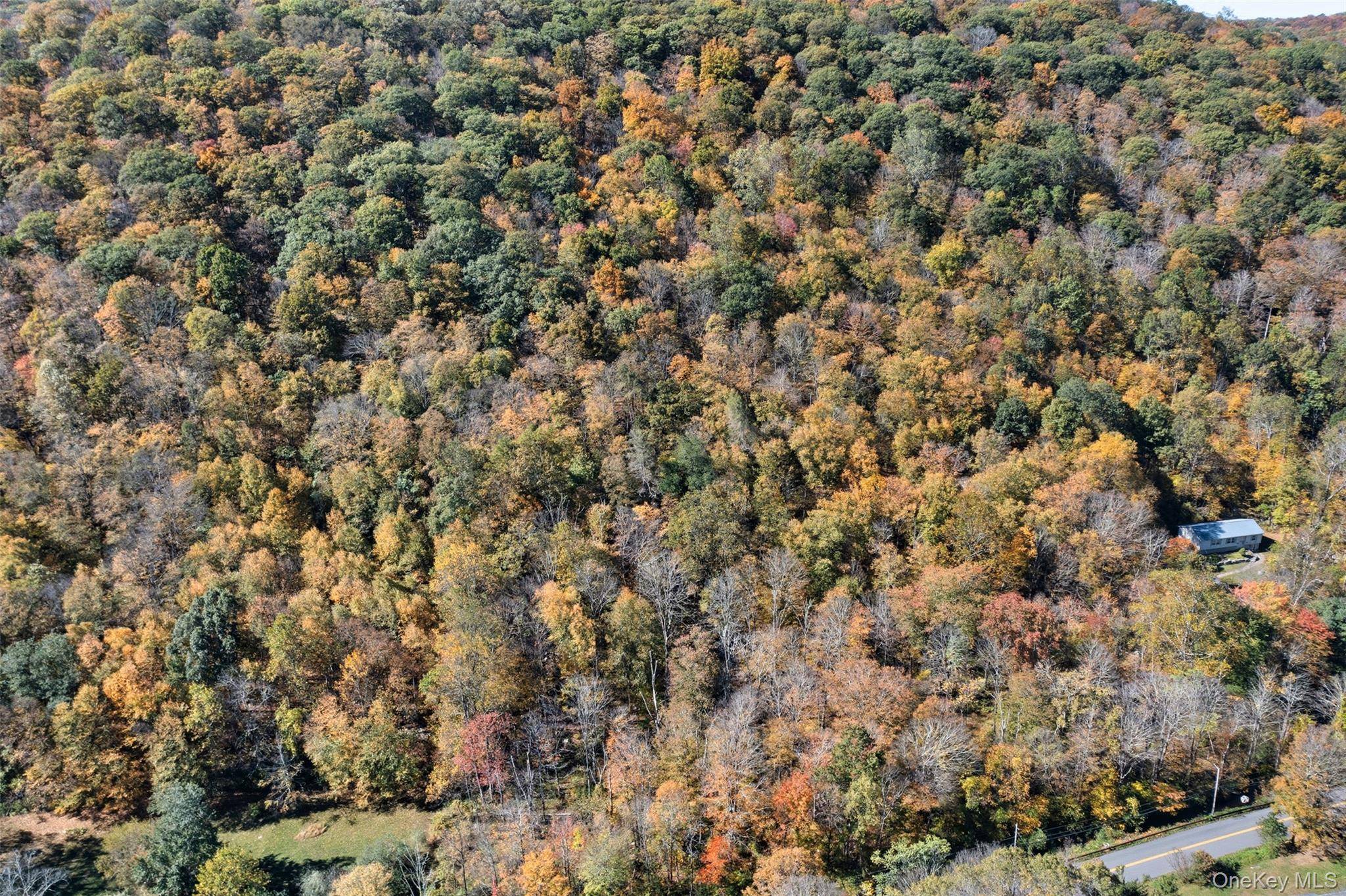 Wiccopee RD, Putnam Valley, NY 10579