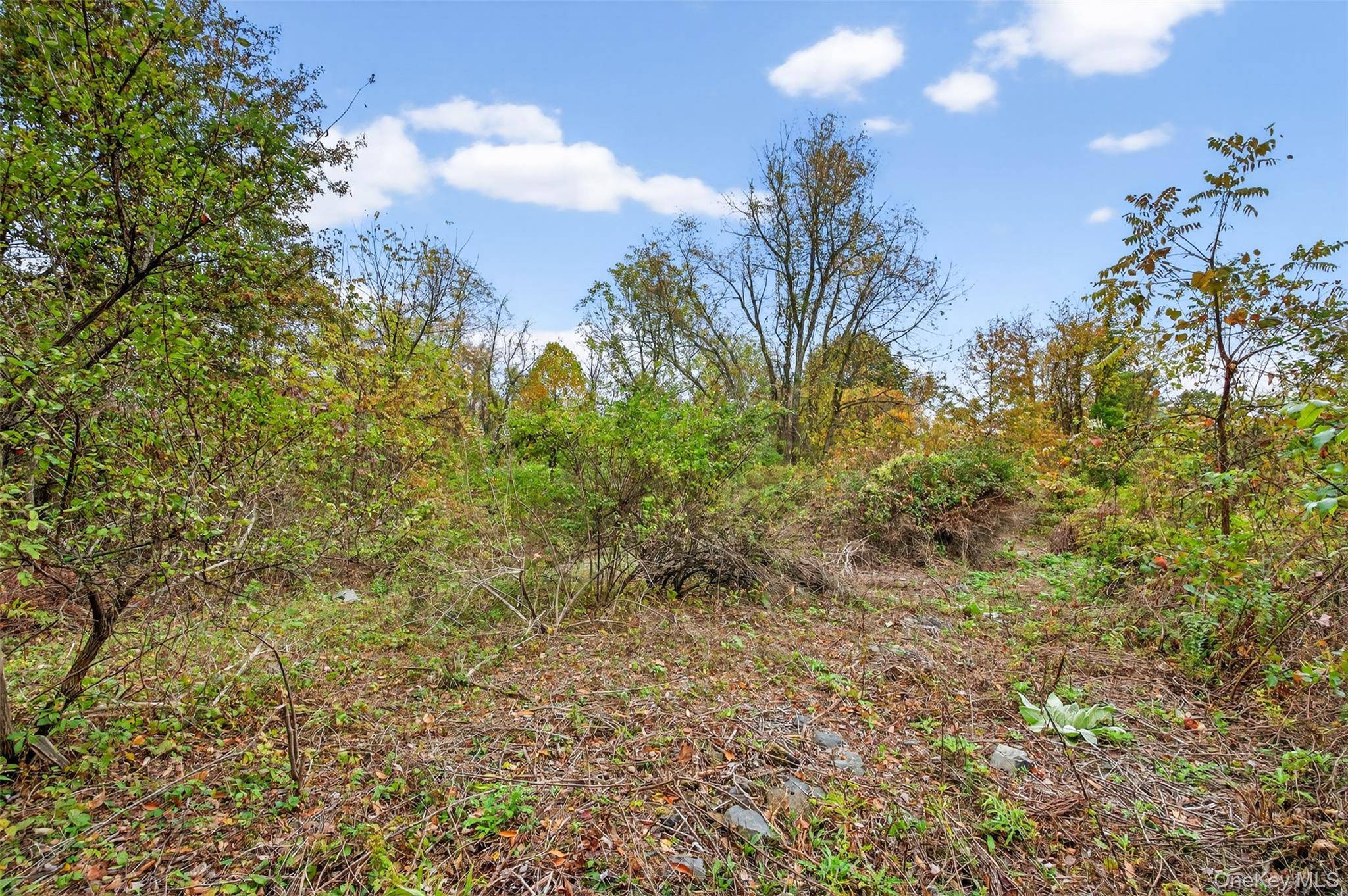 37 N Ohioville RD, New Paltz, NY 12561