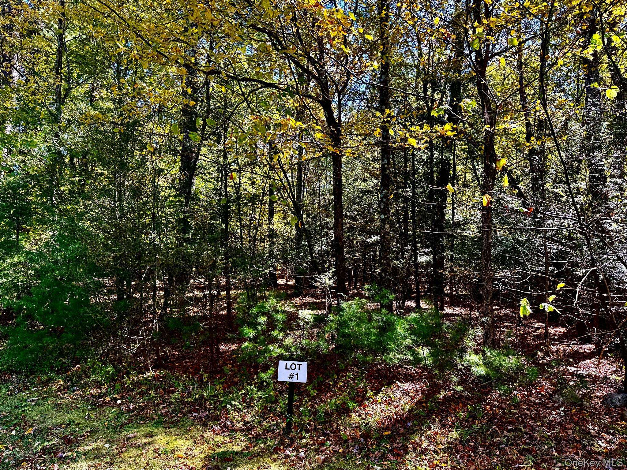 49 Falling Waters DR, Palenville, NY 12463