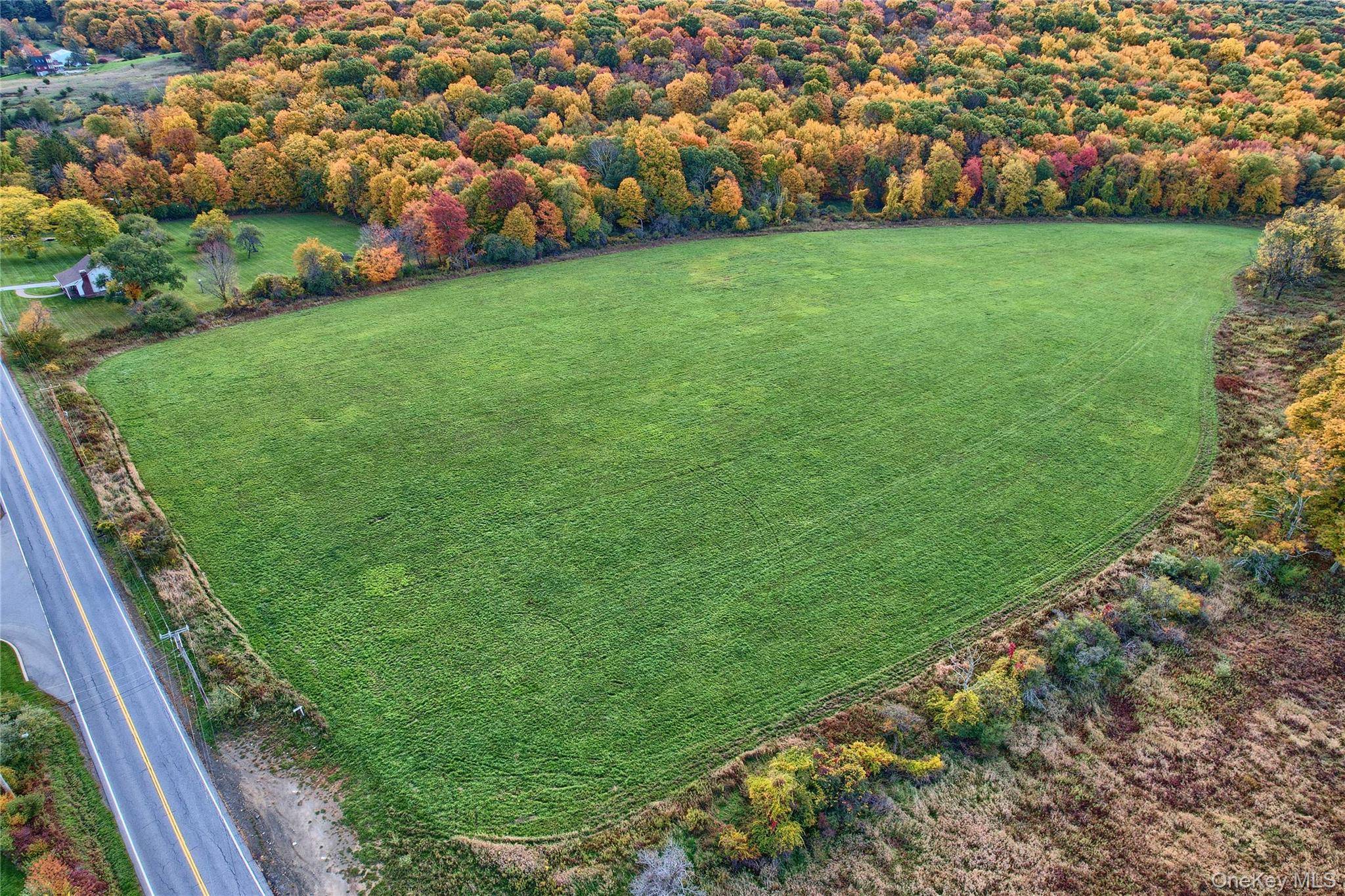 1830 BRUZGUL RD, Lagrangeville, NY 12540