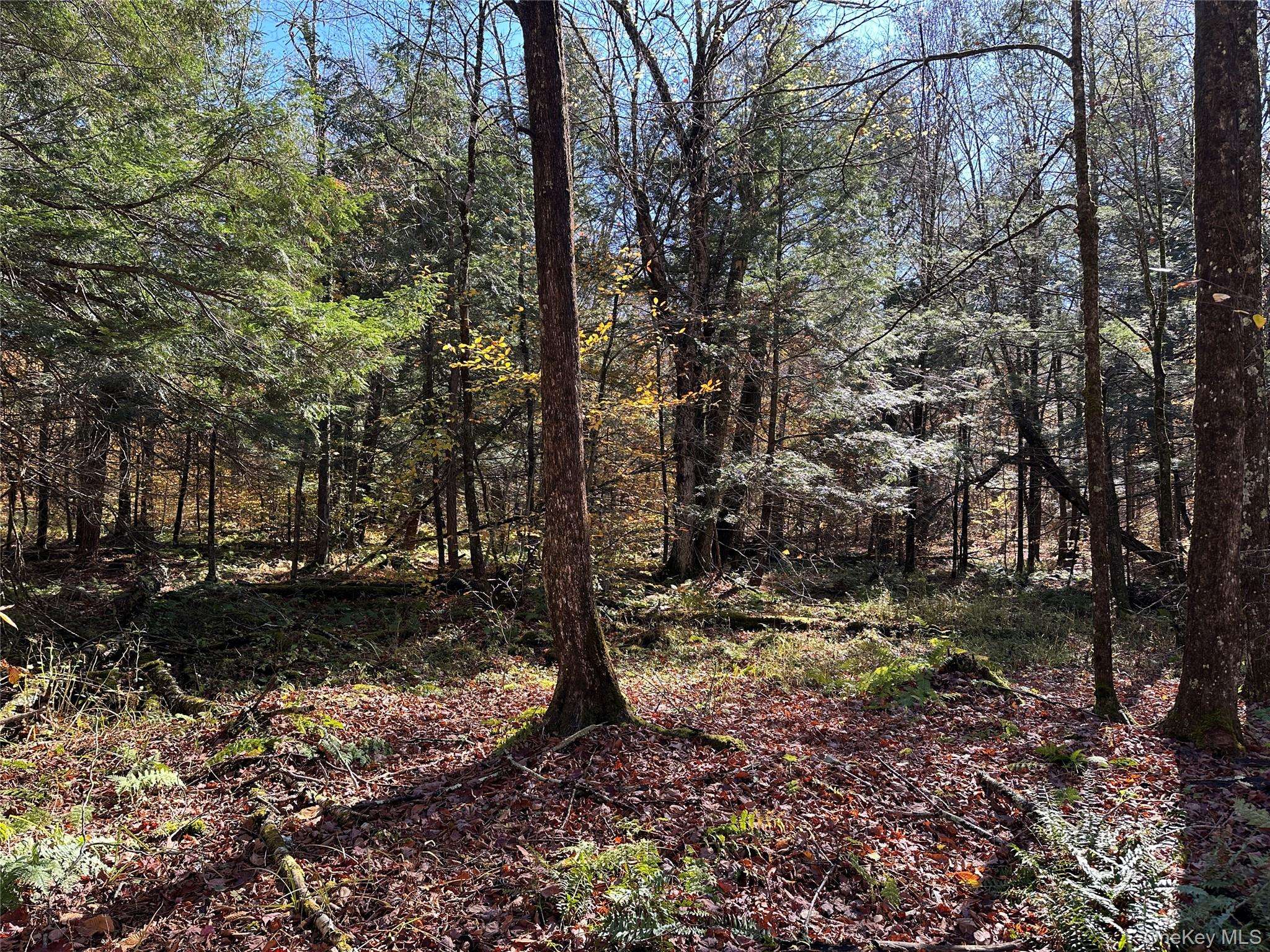 24 Mud Pond RD, Livingston Manor, NY 12758