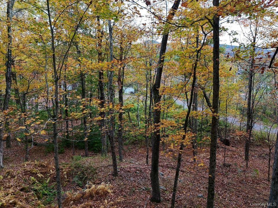 TBD Kornell Drive, Haines Falls, NY 12436