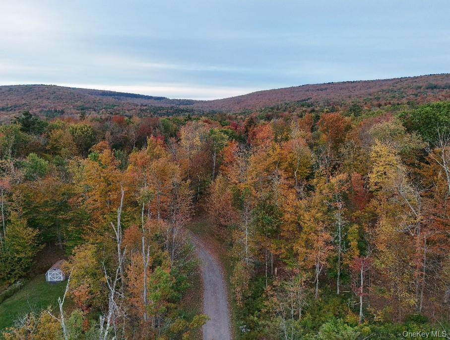 TBD Kornell Drive, Haines Falls, NY 12436