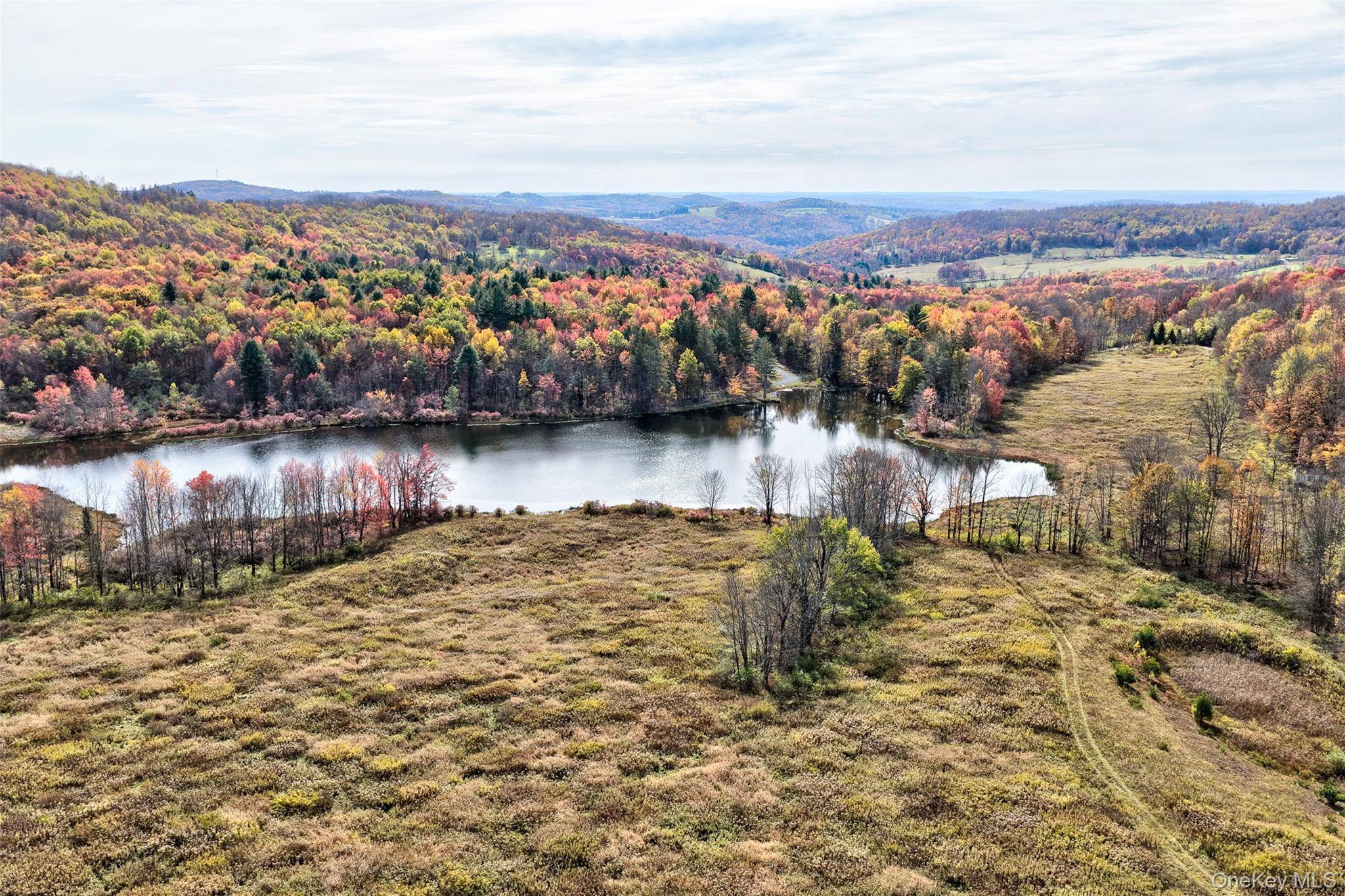 TBD Meadow LN, Fremont, NY 12736