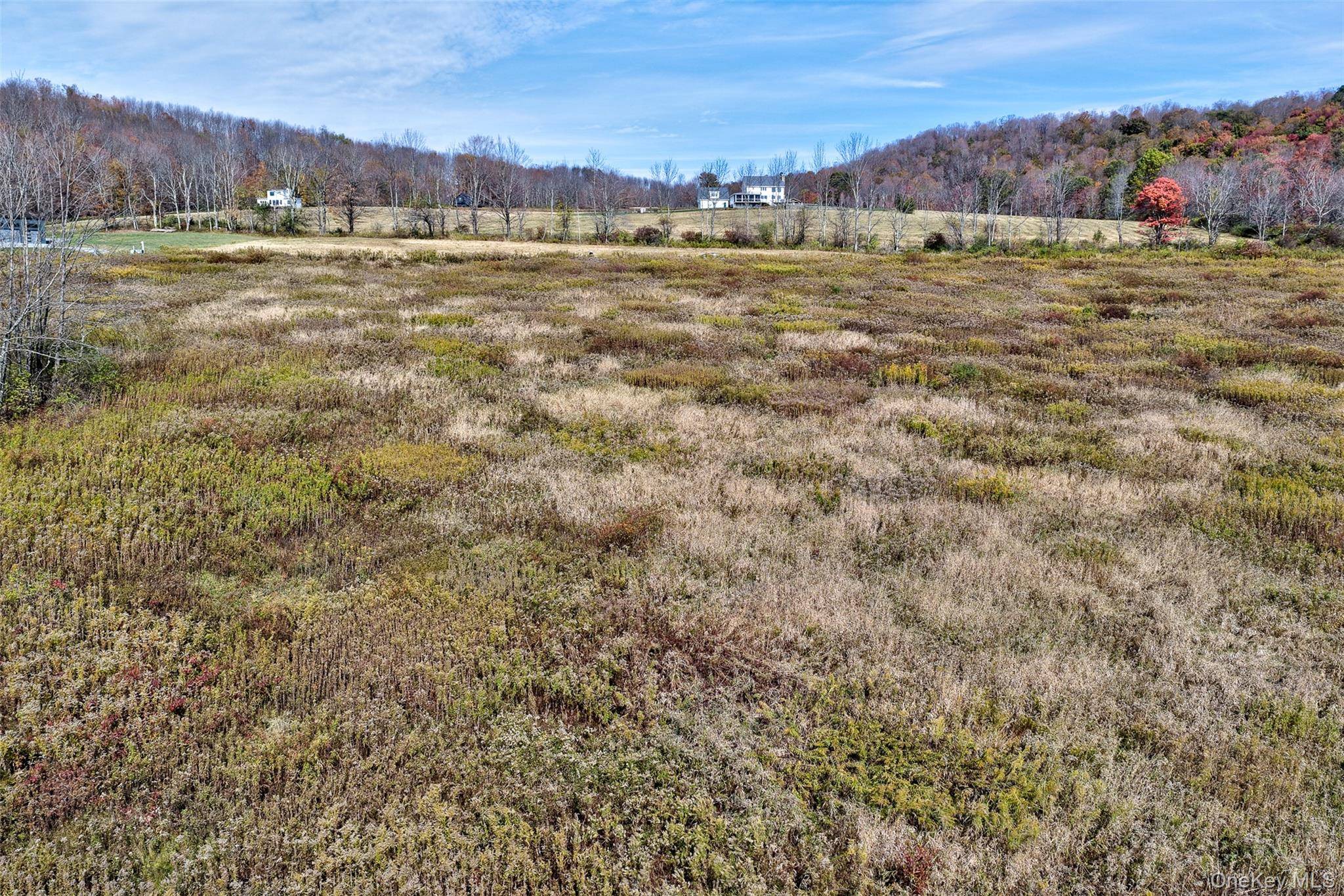 TBD Meadow LN, Fremont, NY 12736