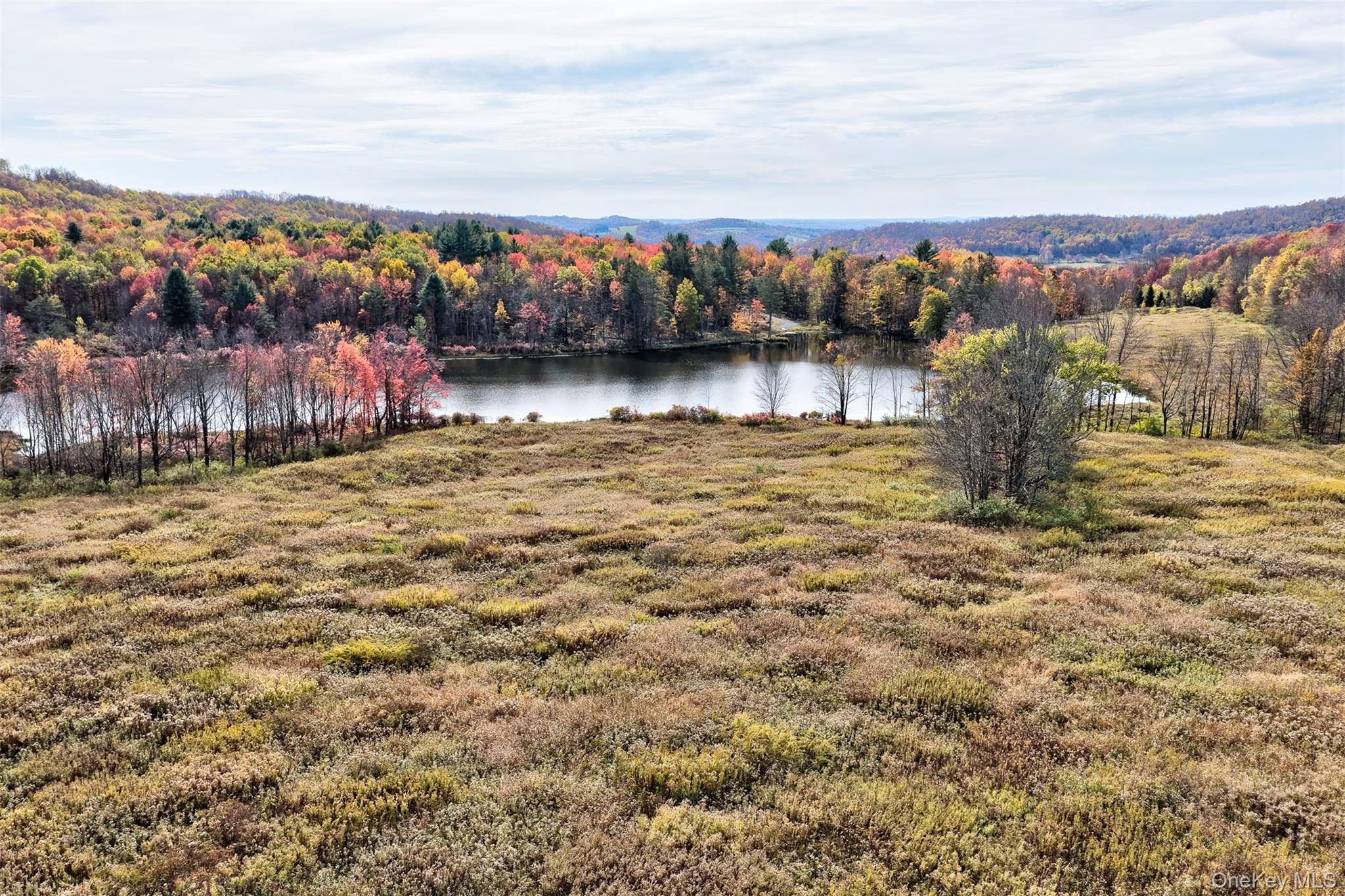 TBD Meadow LN, Fremont, NY 12736