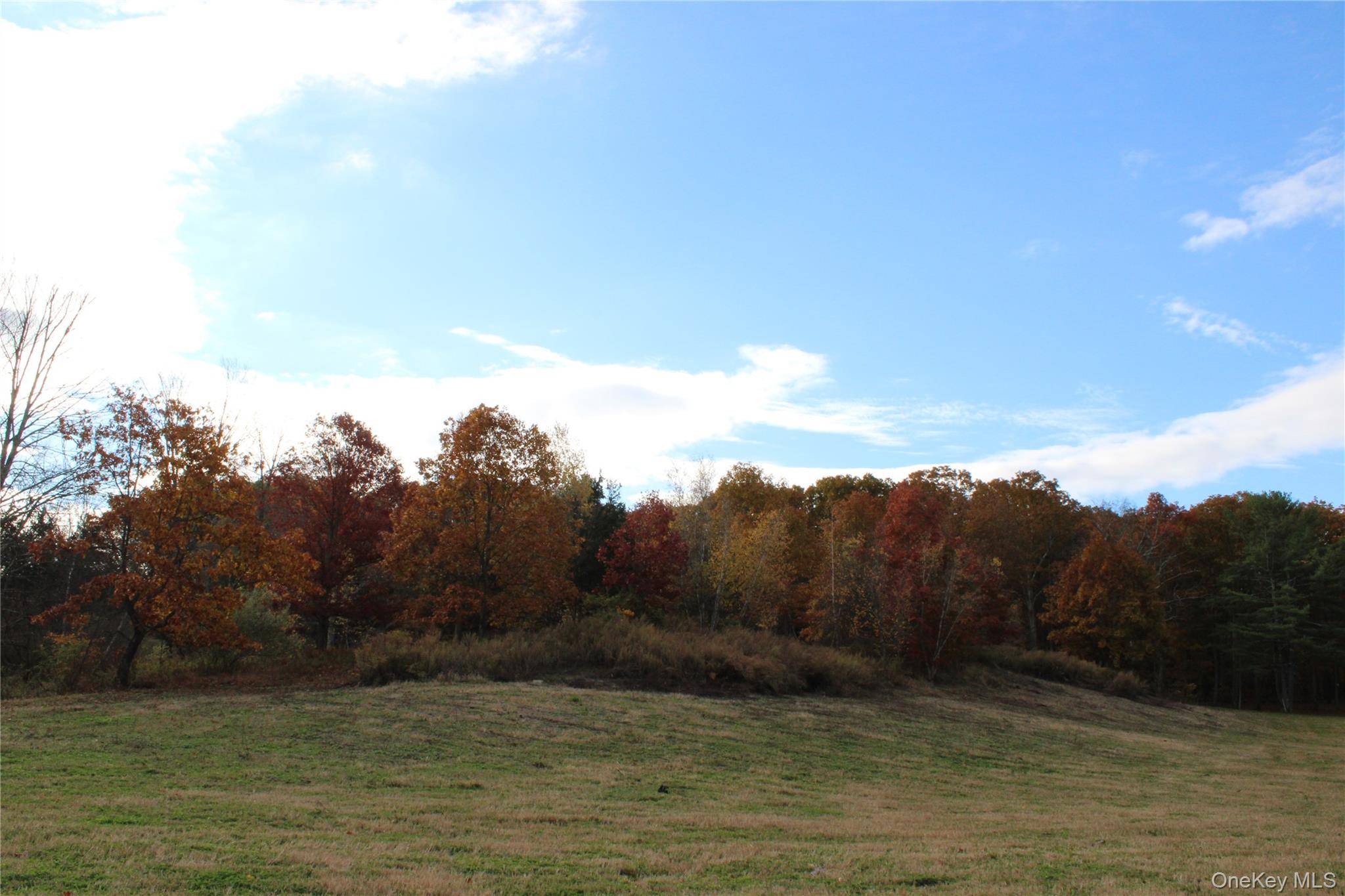 Round Lake RD, Rhinebeck, NY 12572