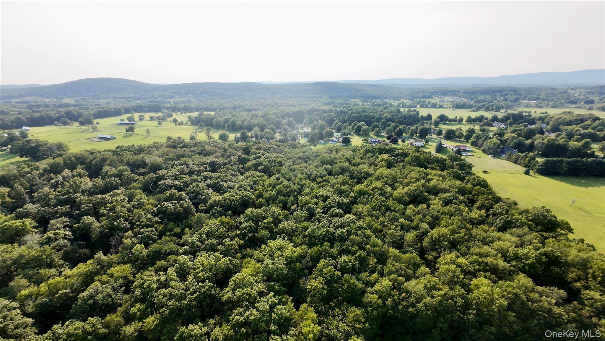 109 White Birch LN, Montgomery, NY 12549