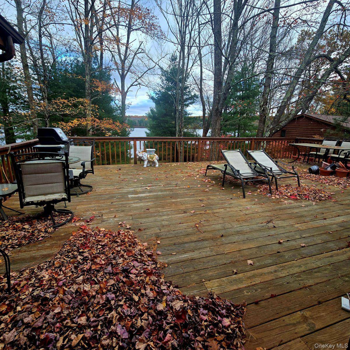 14 Lena RD, Monticello, NY 12777
