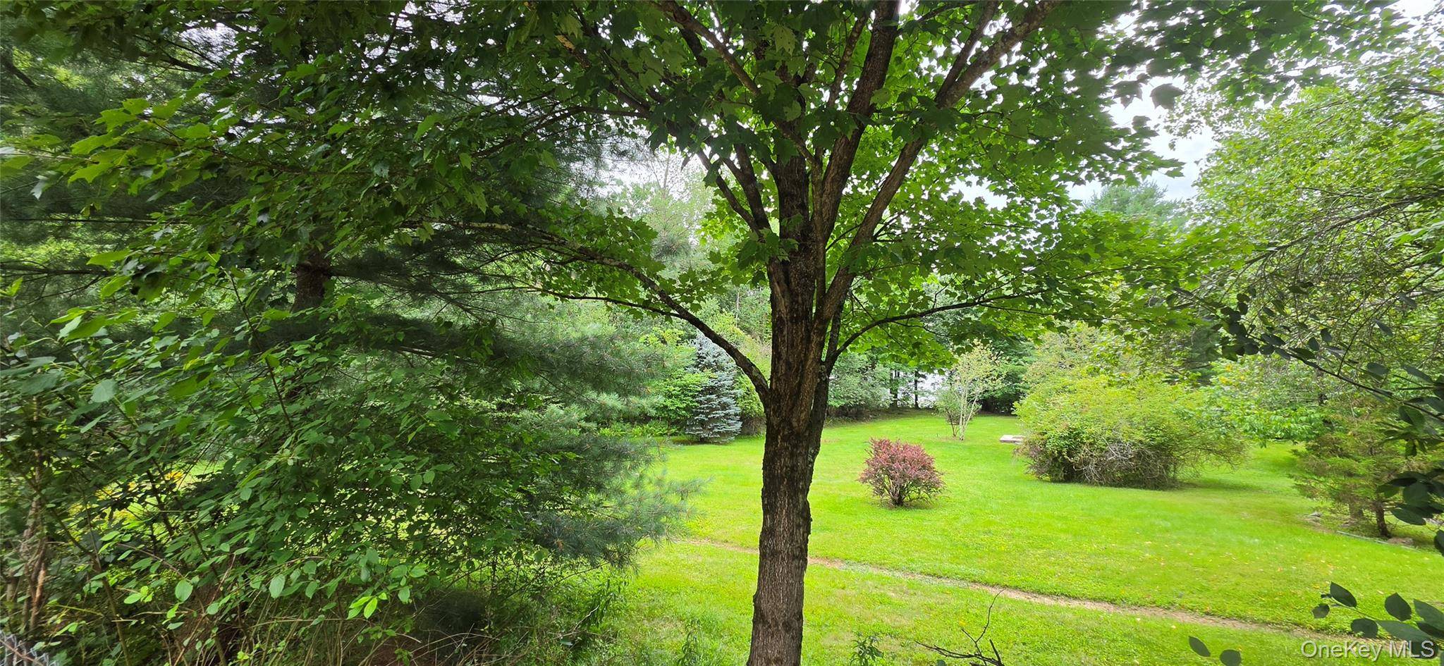 371 Kelly Bridge RD #373, Swan Lake, NY 12783