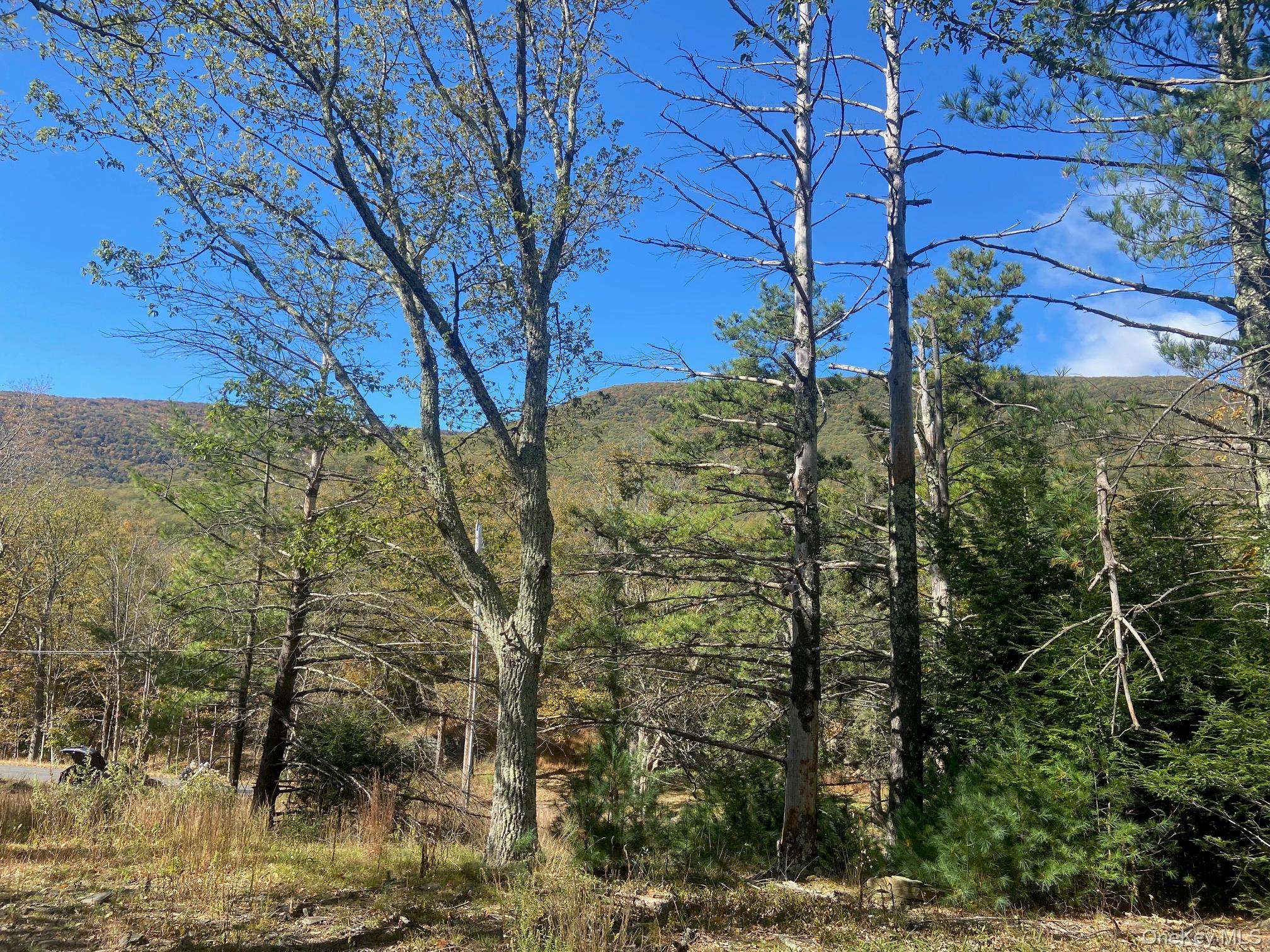 Tbd Manorville Road, Saugerties, NY 12477